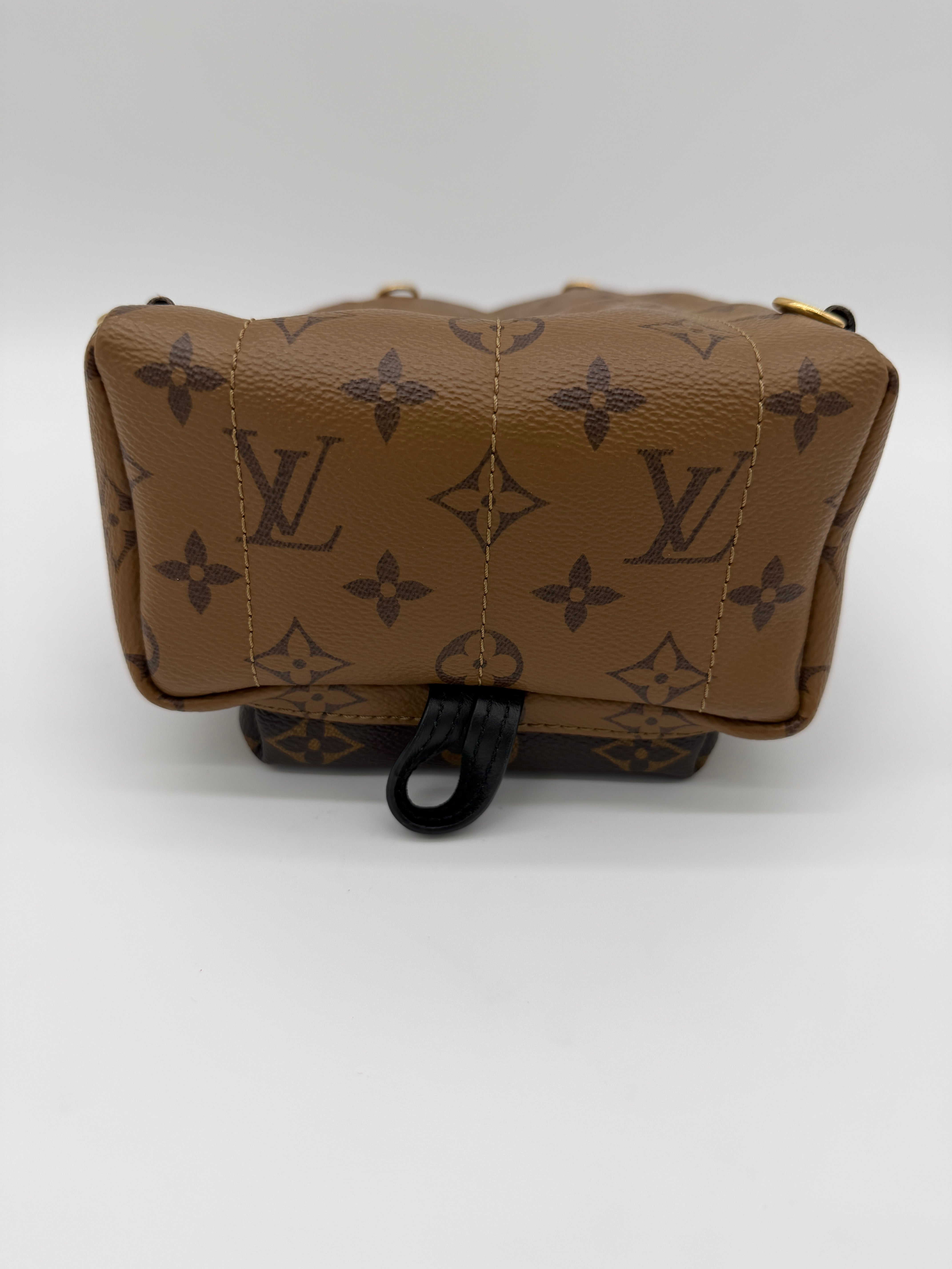 Louis Vuitton Palm Springs Mini Reverse Monogram