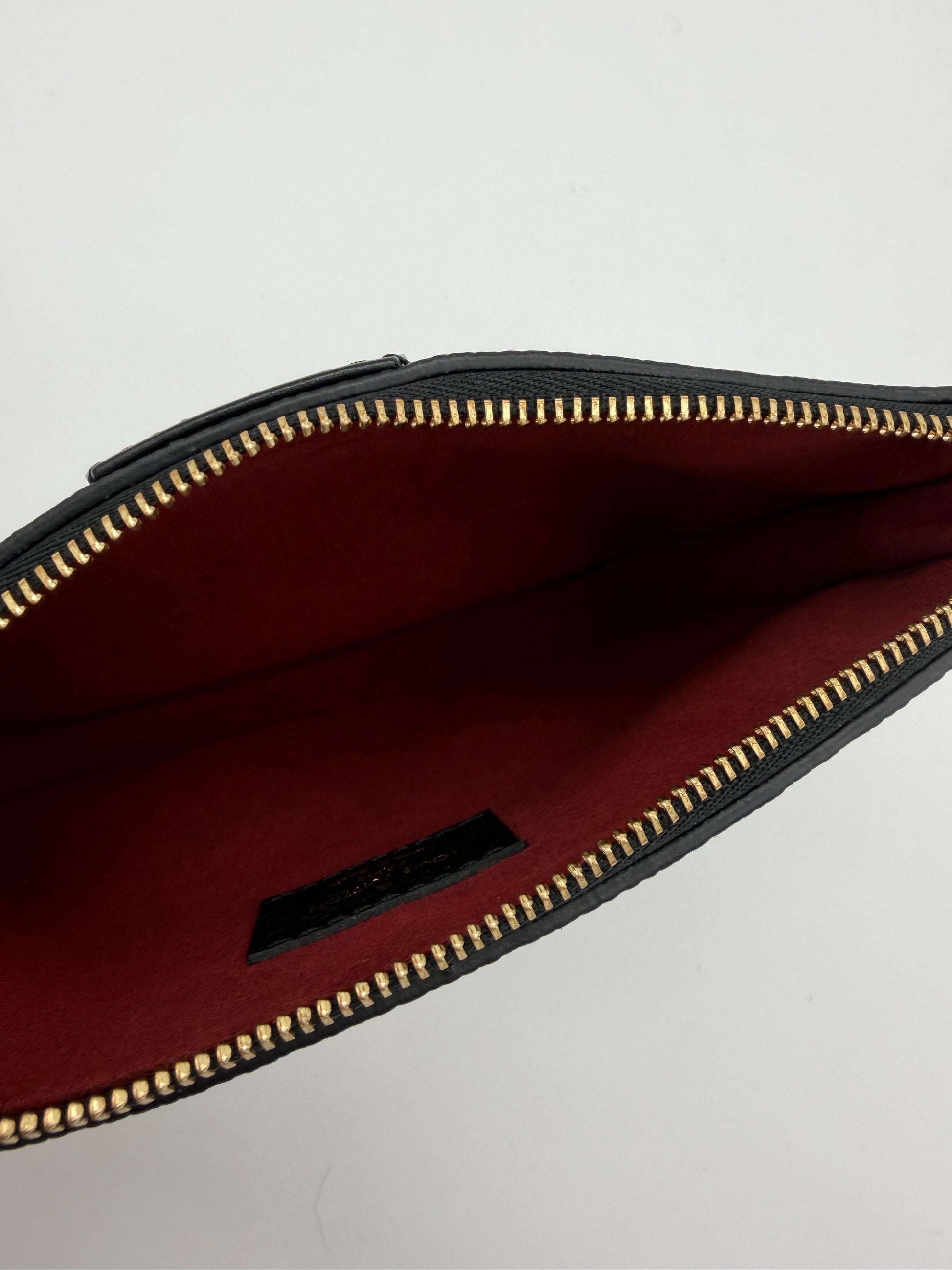 Louis Vuitton Bicolor Pochette