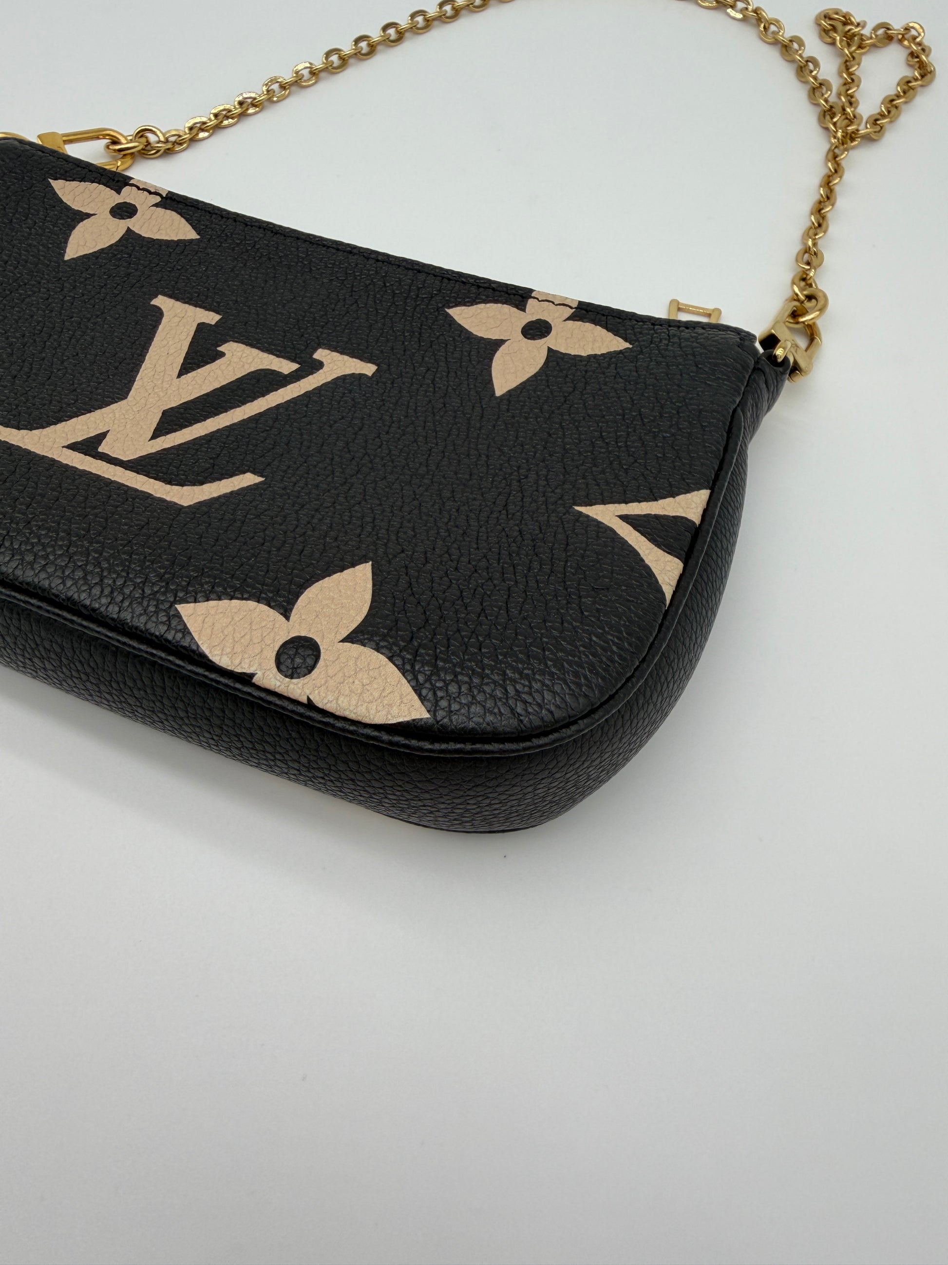 Louis Vuitton Bicolor Pochette