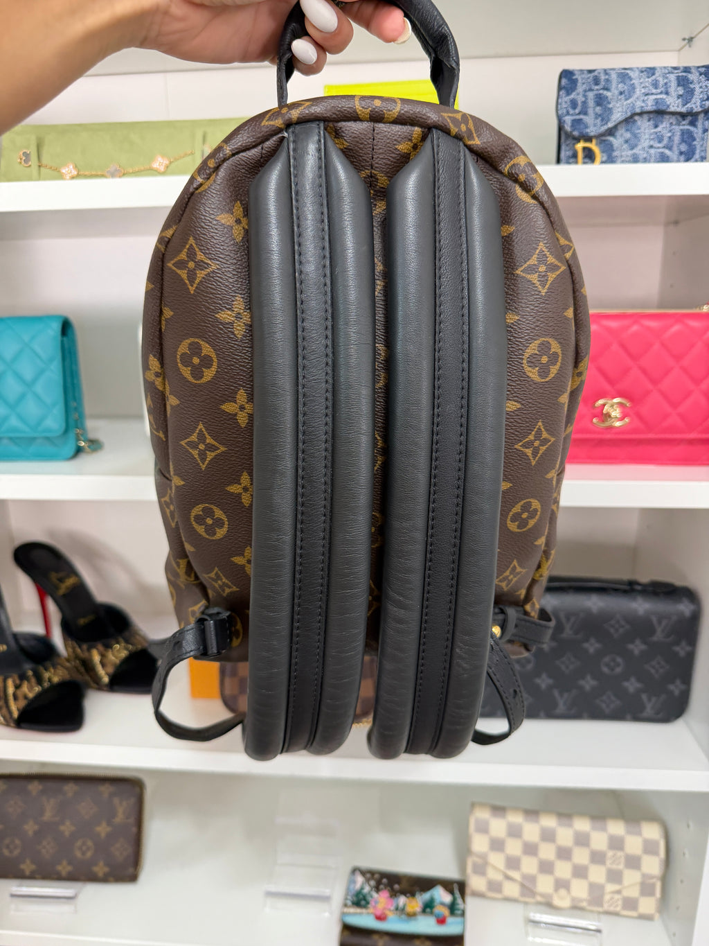 Louis Vuitton Palm Springs PM Backpack