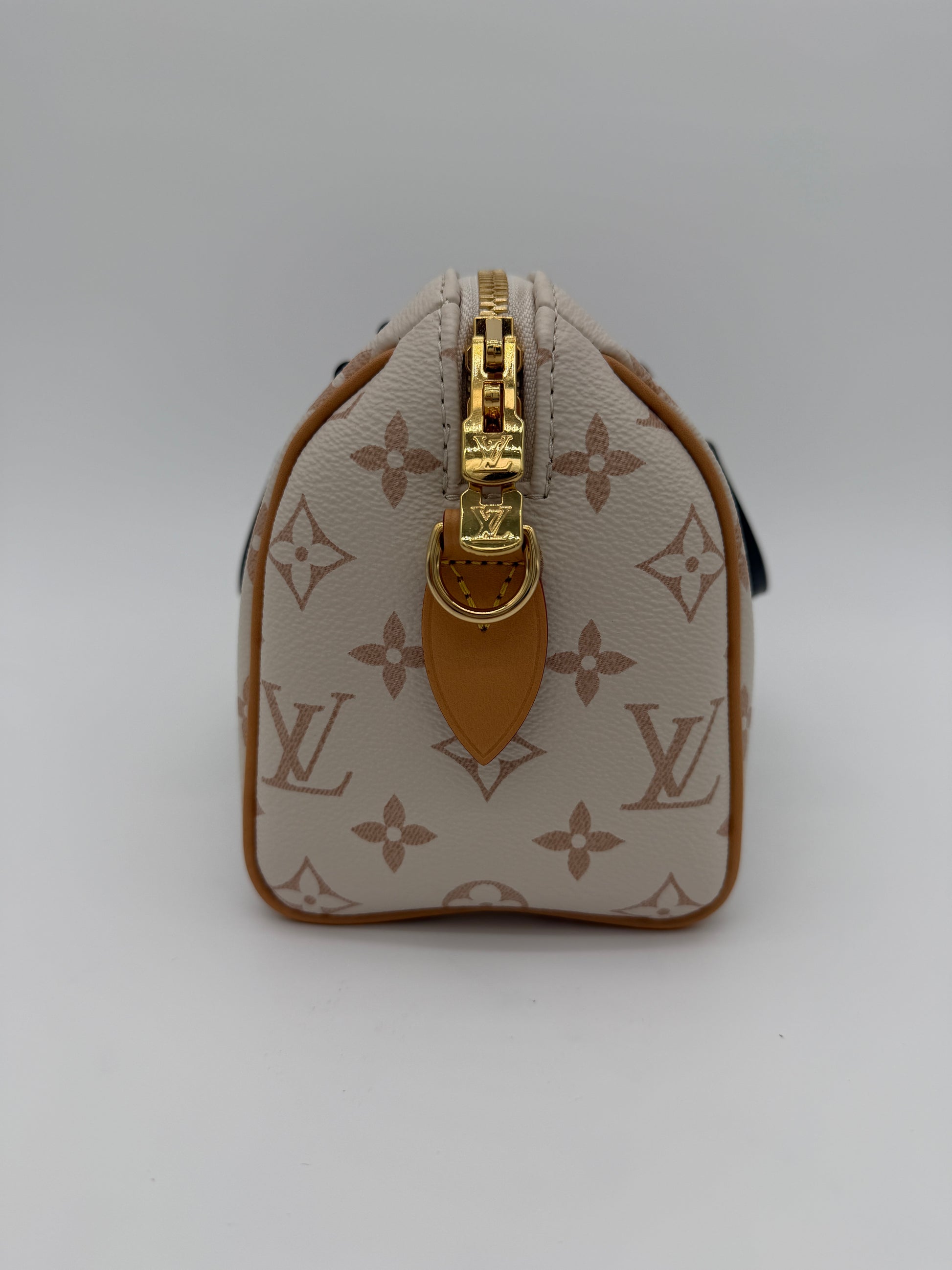 Louis Vuitton Speedy 20 Dune