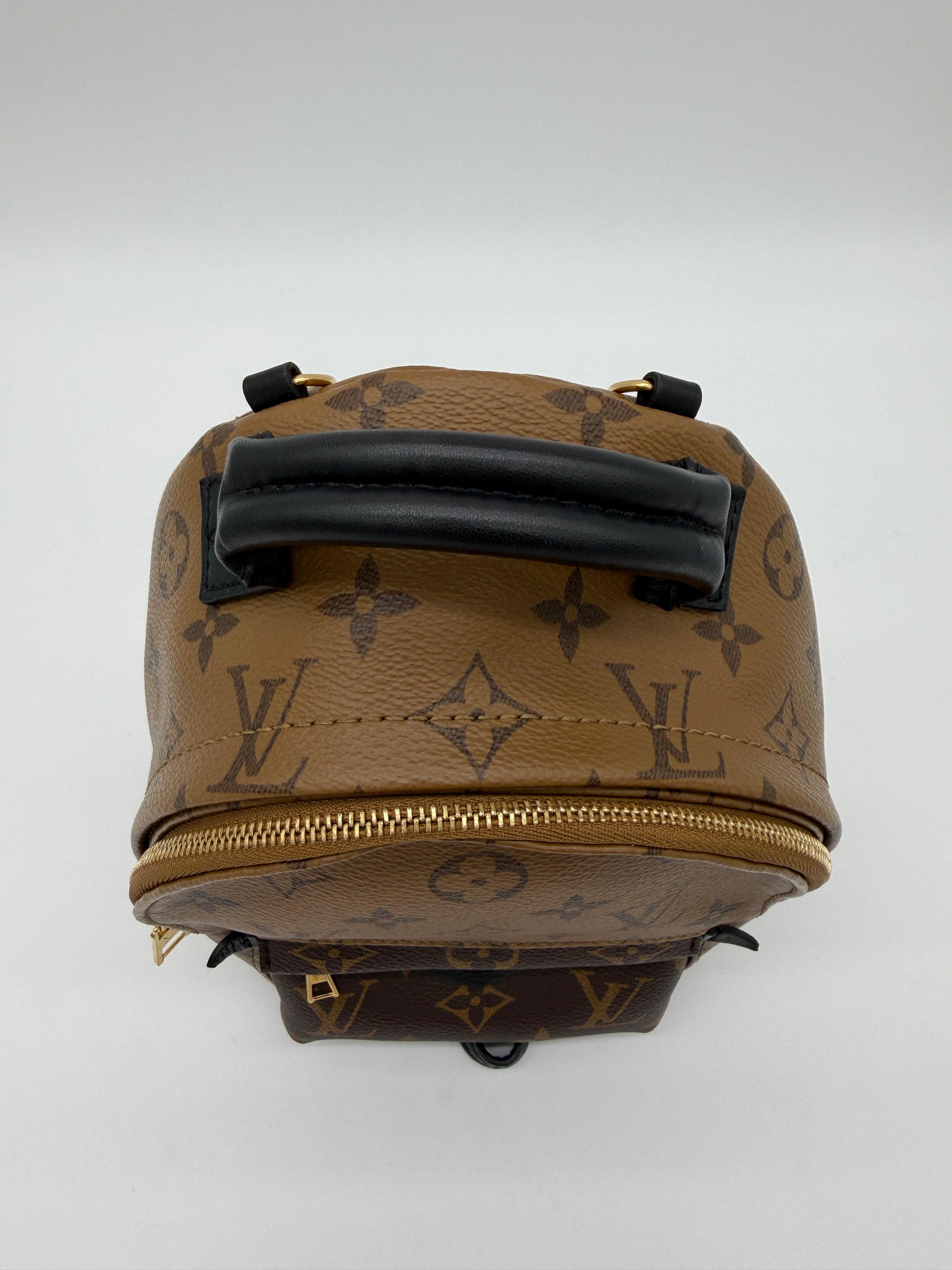 Louis Vuitton Palm Springs Mini Reverse Monogram