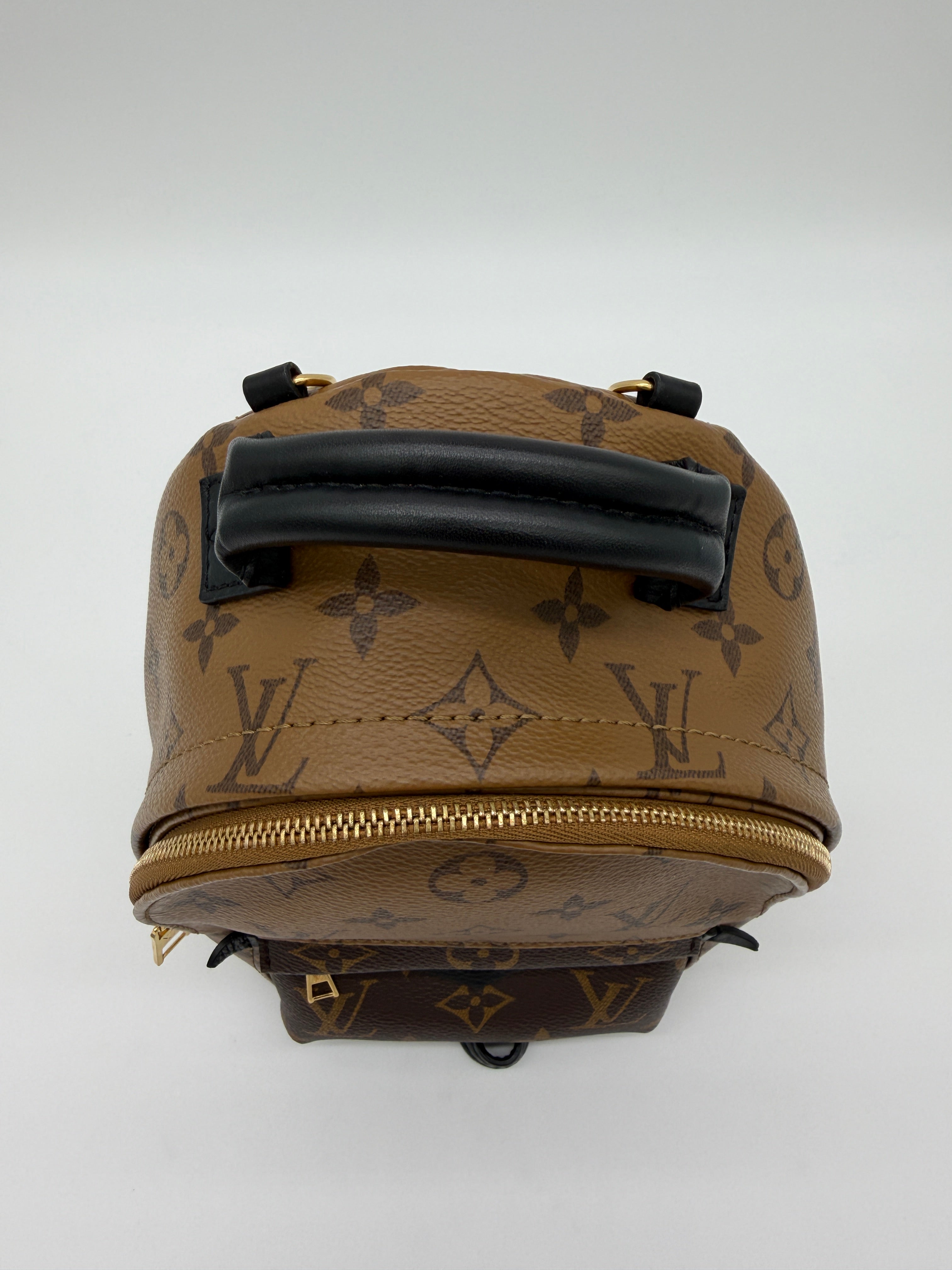 Louis Vuitton Palm Springs Mini Reverse Monogram