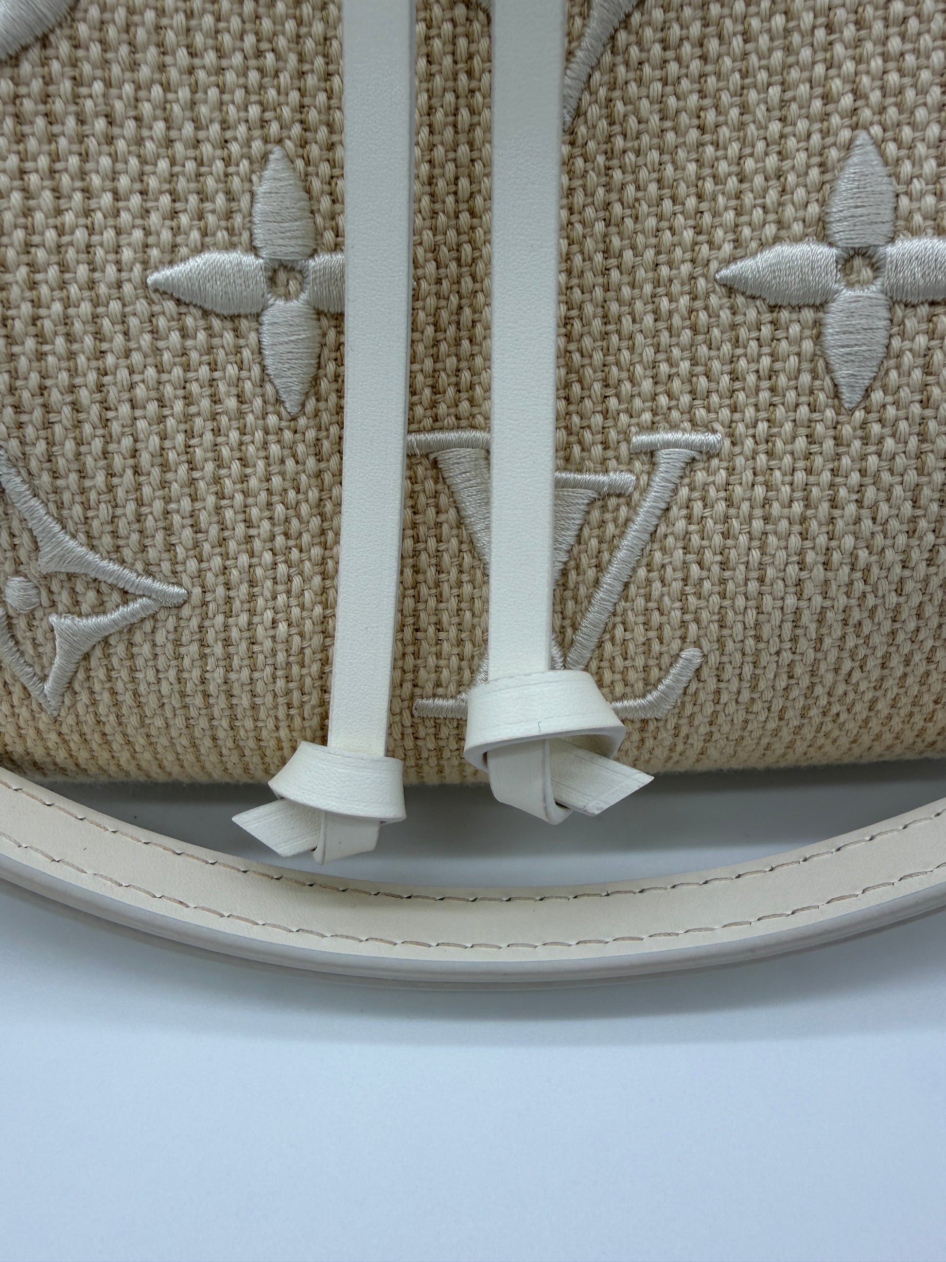 Louis Vuitton Neonoe MM Embroidered Monogram