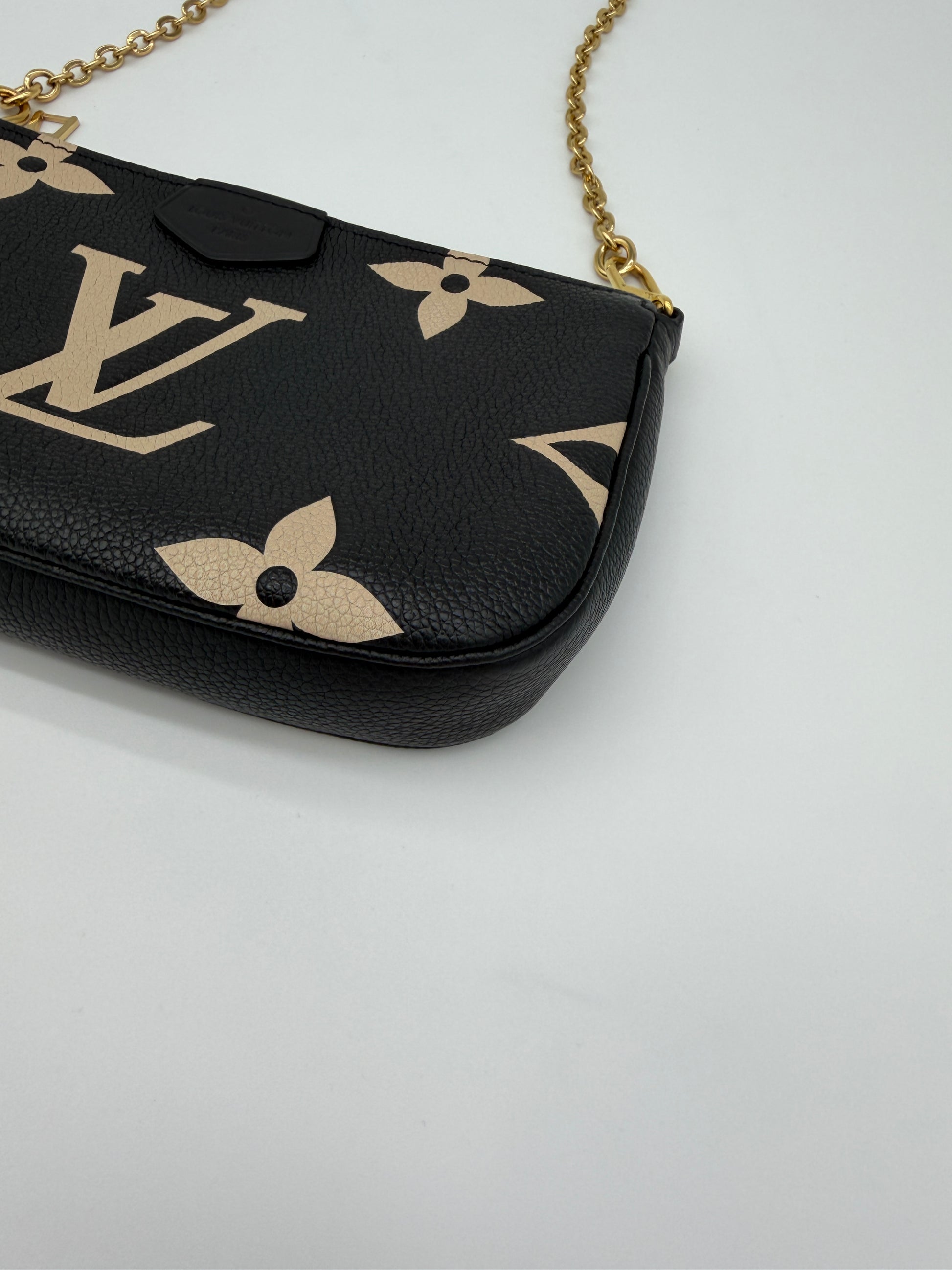 Louis Vuitton Bicolor Pochette