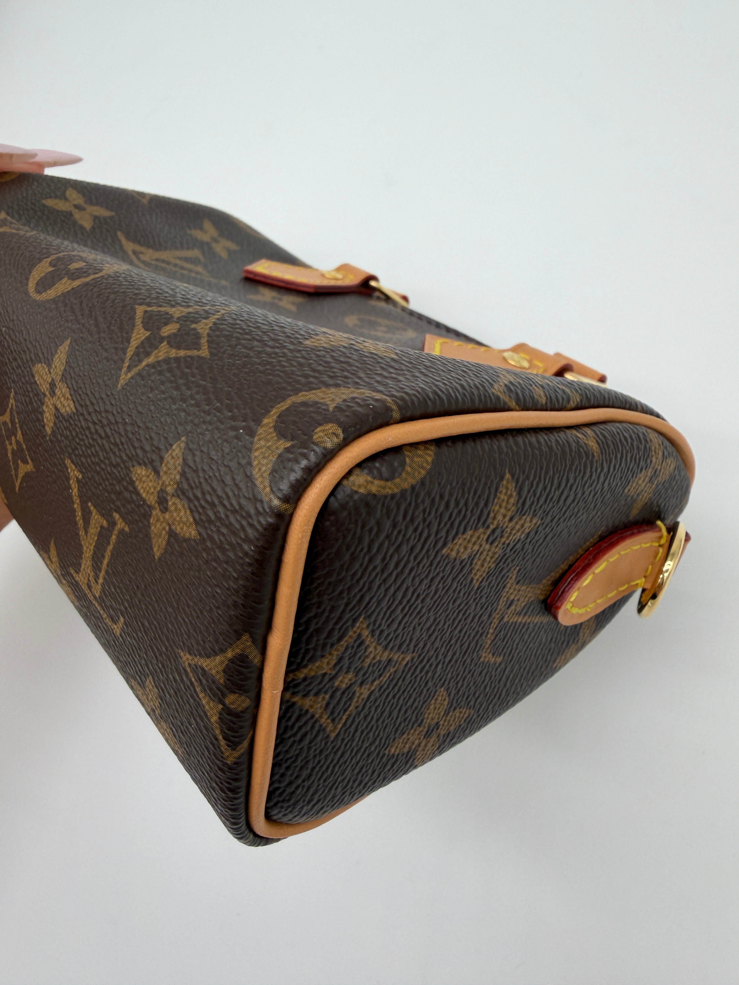 Louis Vuitton Monogram Speedy Nano