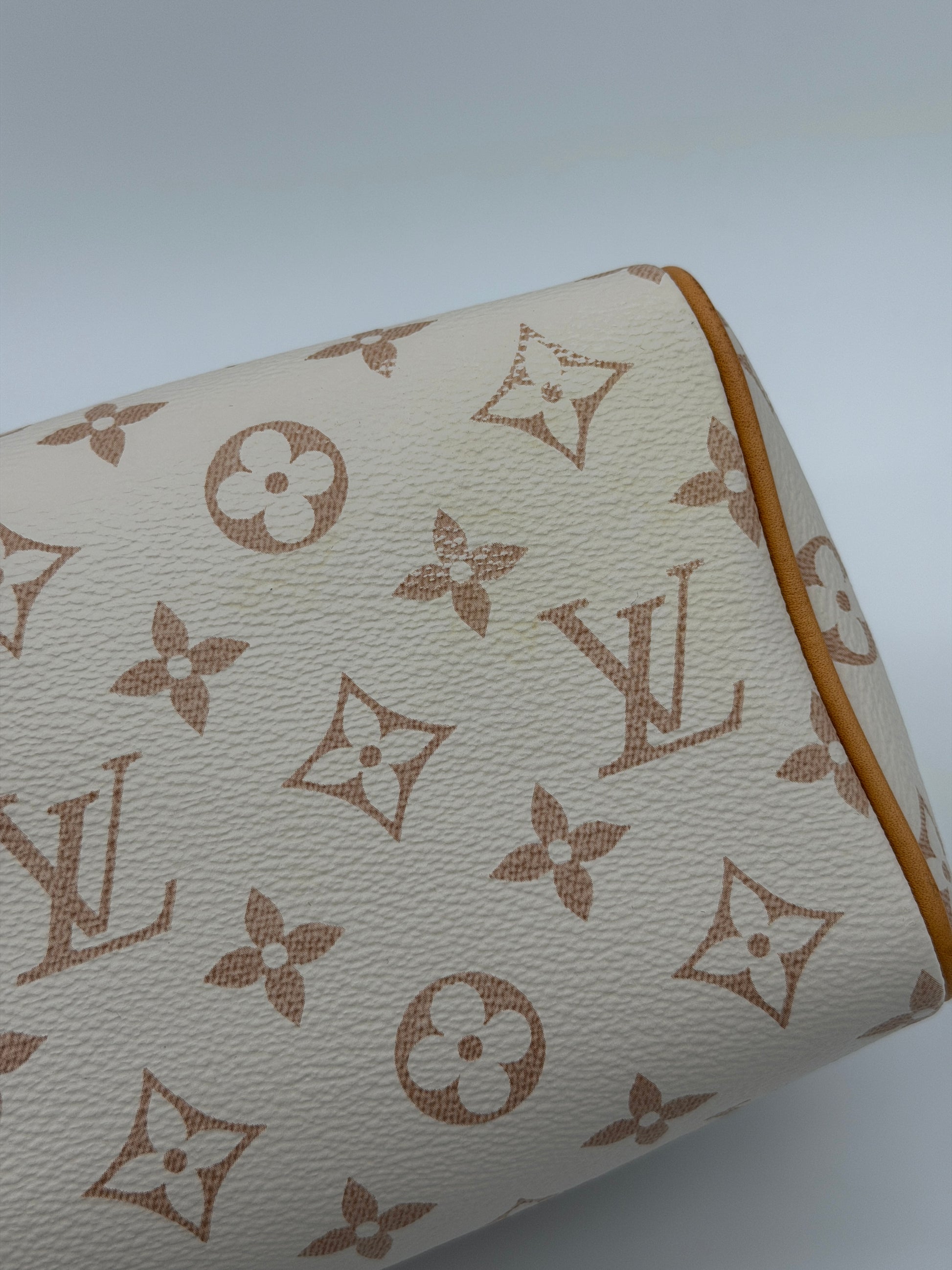 Louis Vuitton Speedy 20 Dune