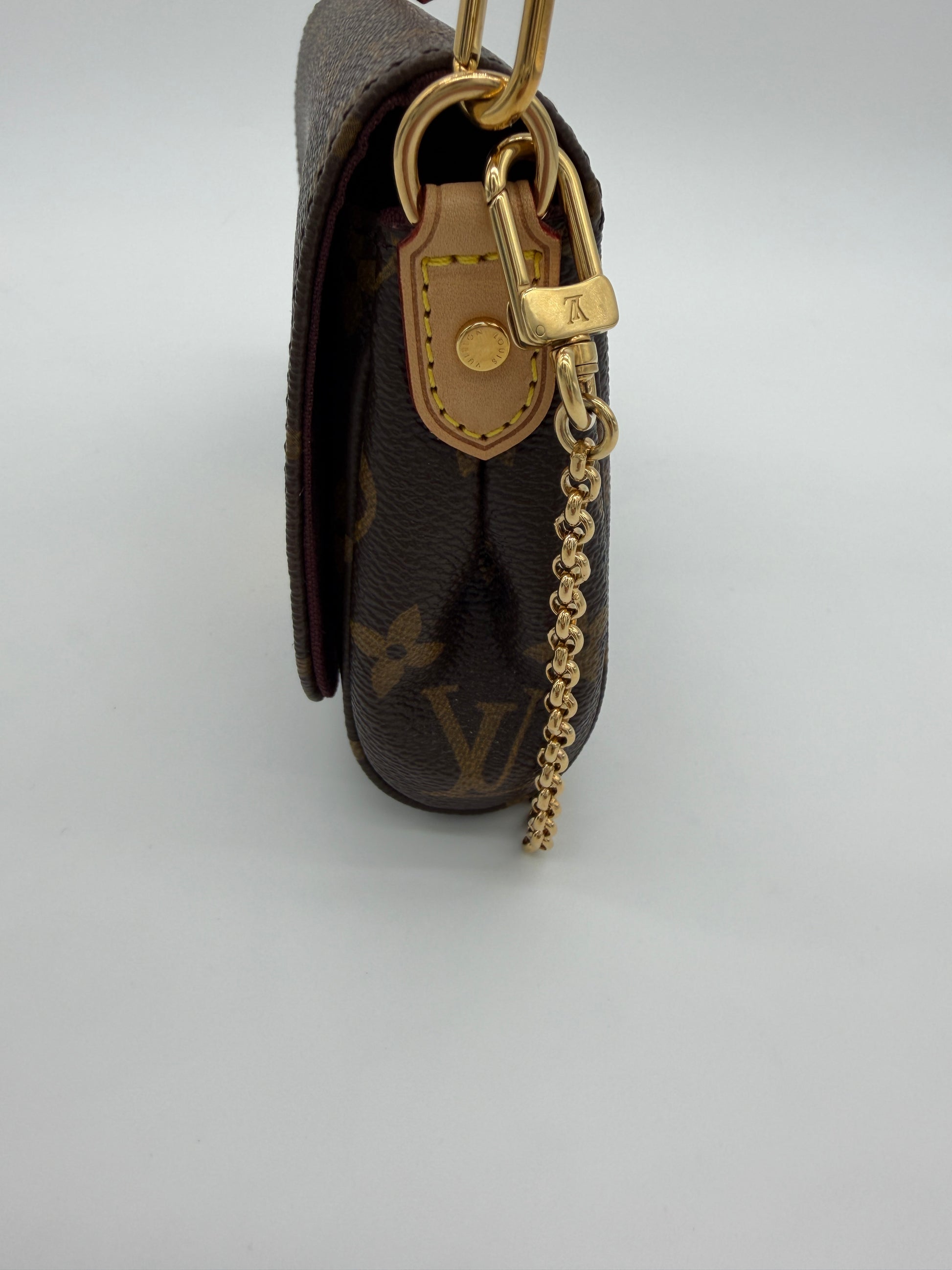 Louis Vuitton Monogram Favorite PM