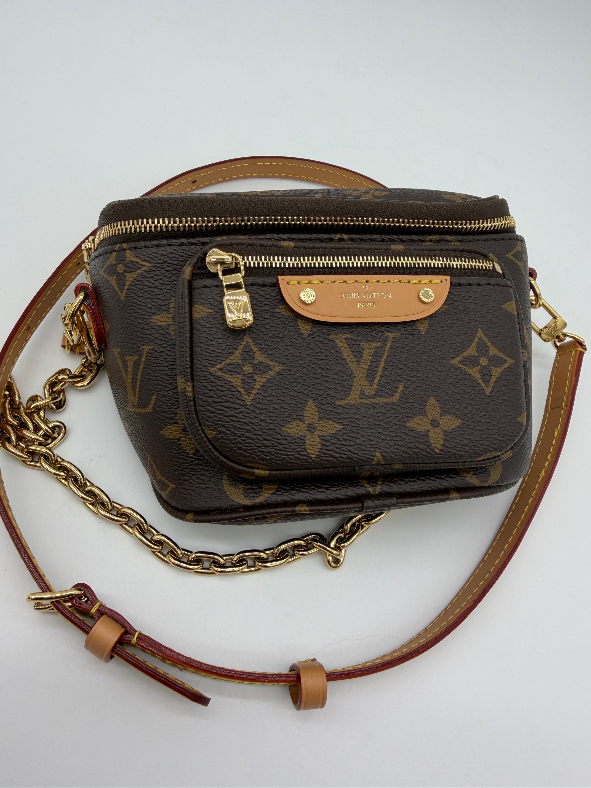 Louis Vuitton Monogram Mini Bumbag