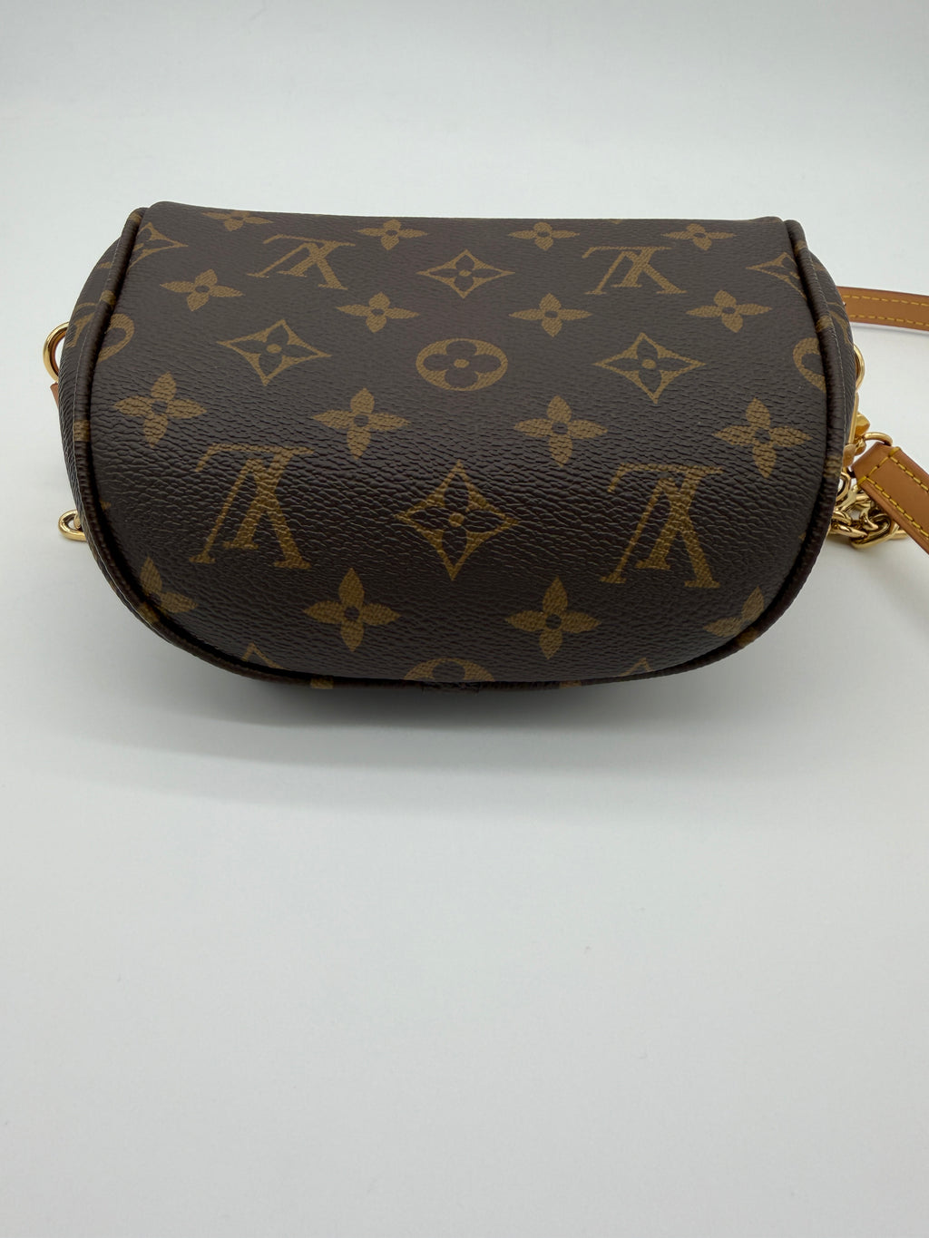 Louis Vuitton Monogram Mini Bumbag