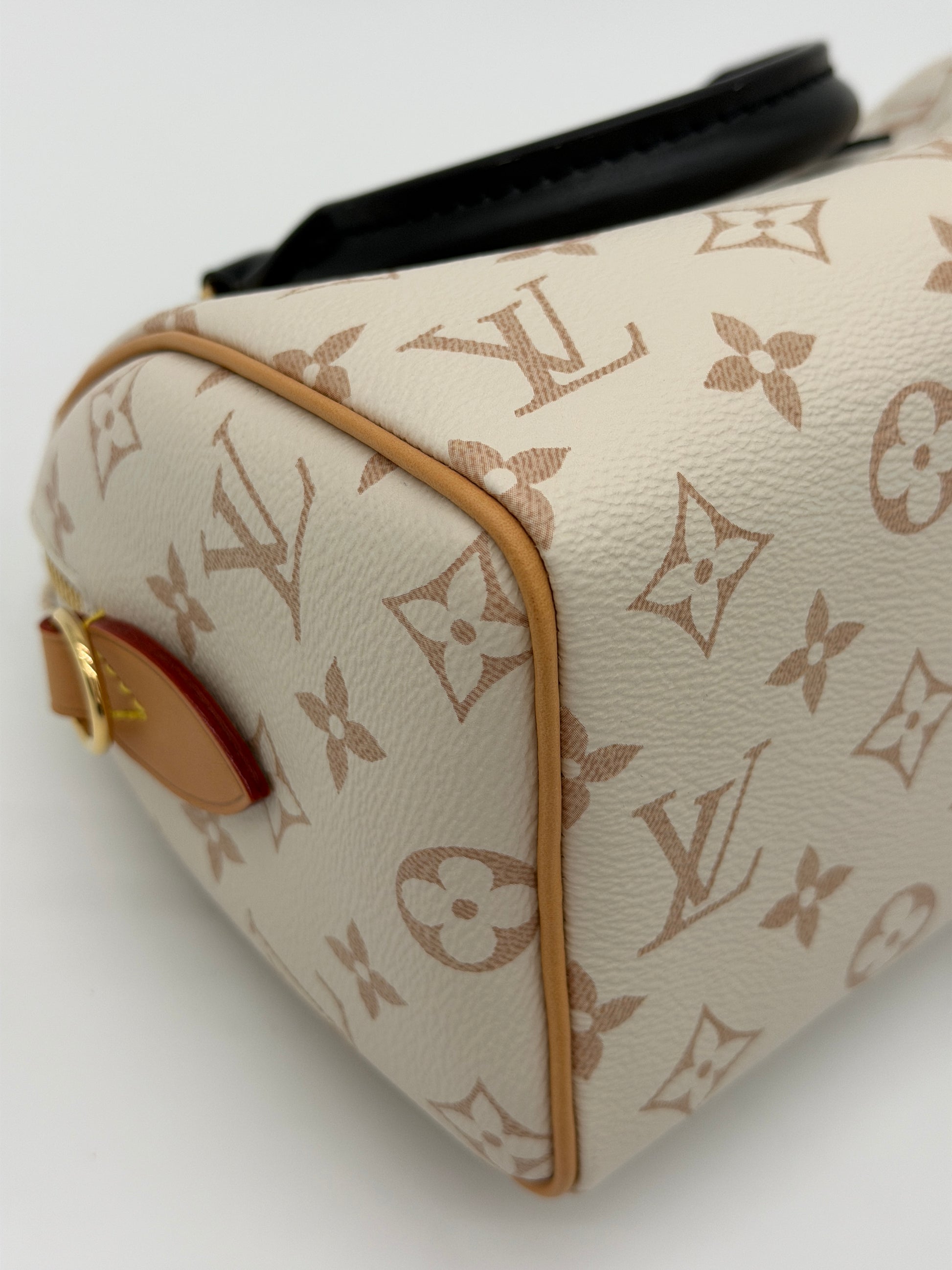 Louis Vuitton Speedy 20 Dune