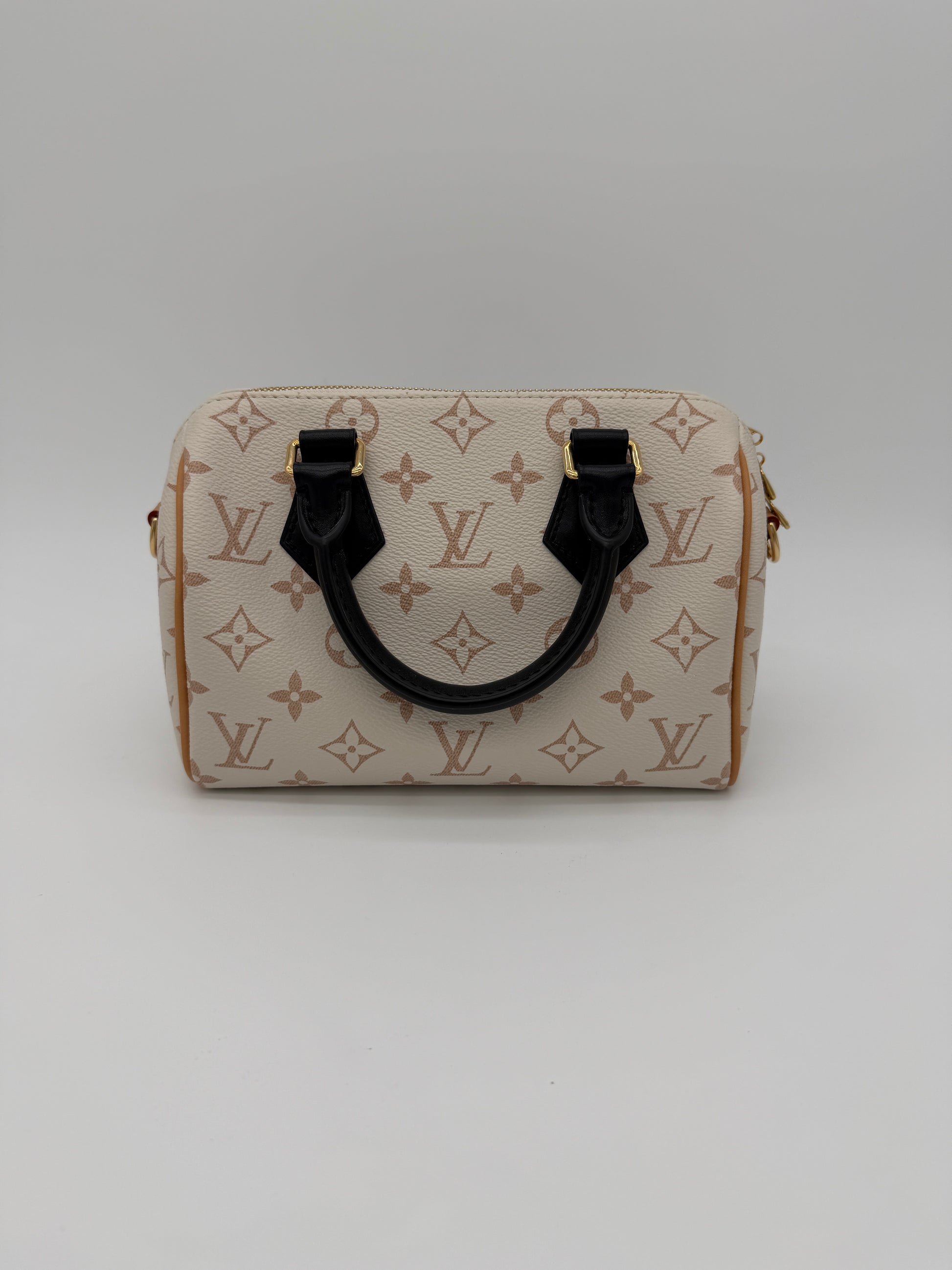 Louis Vuitton Speedy 20 Dune