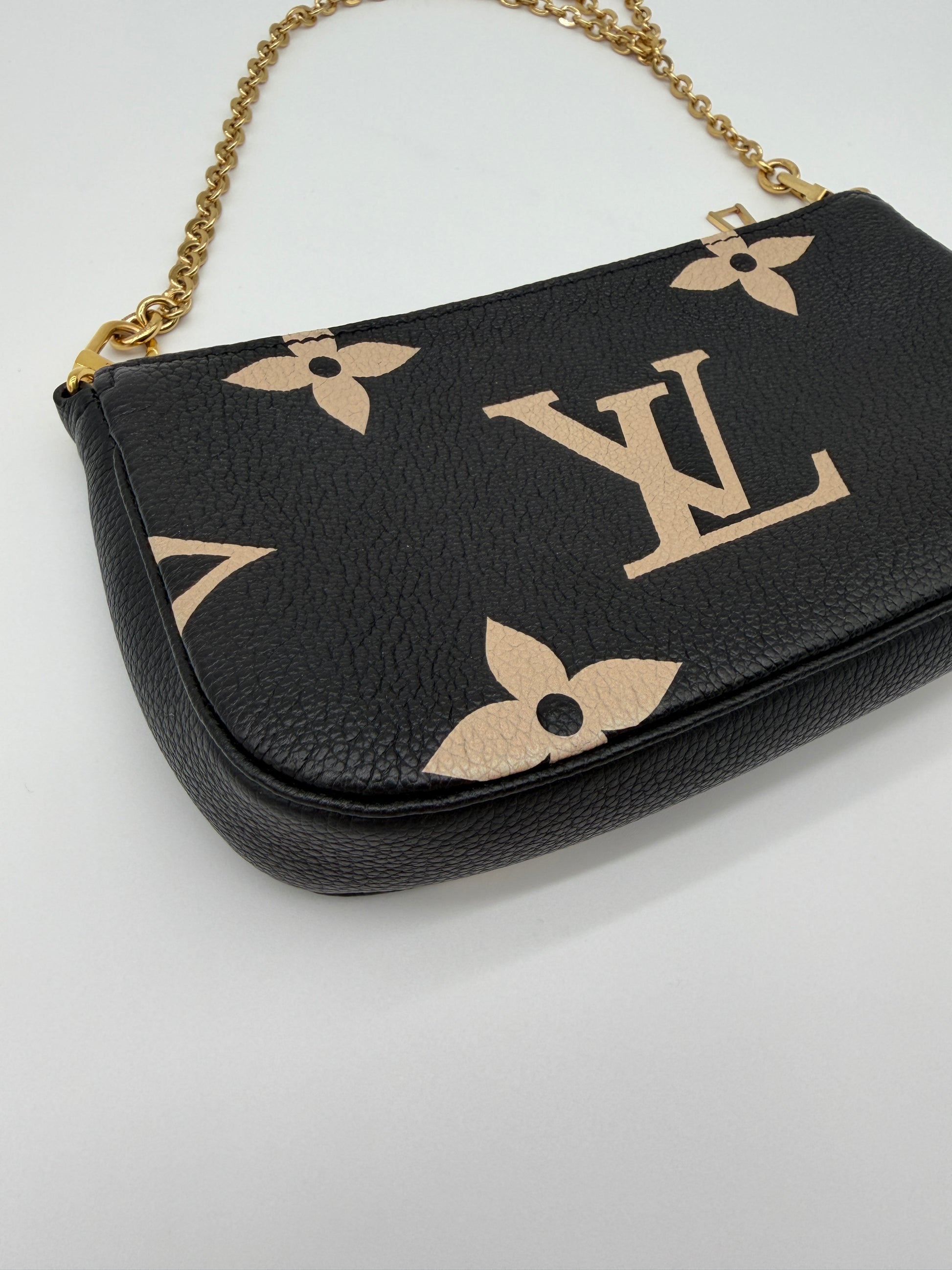 Louis Vuitton Bicolor Pochette