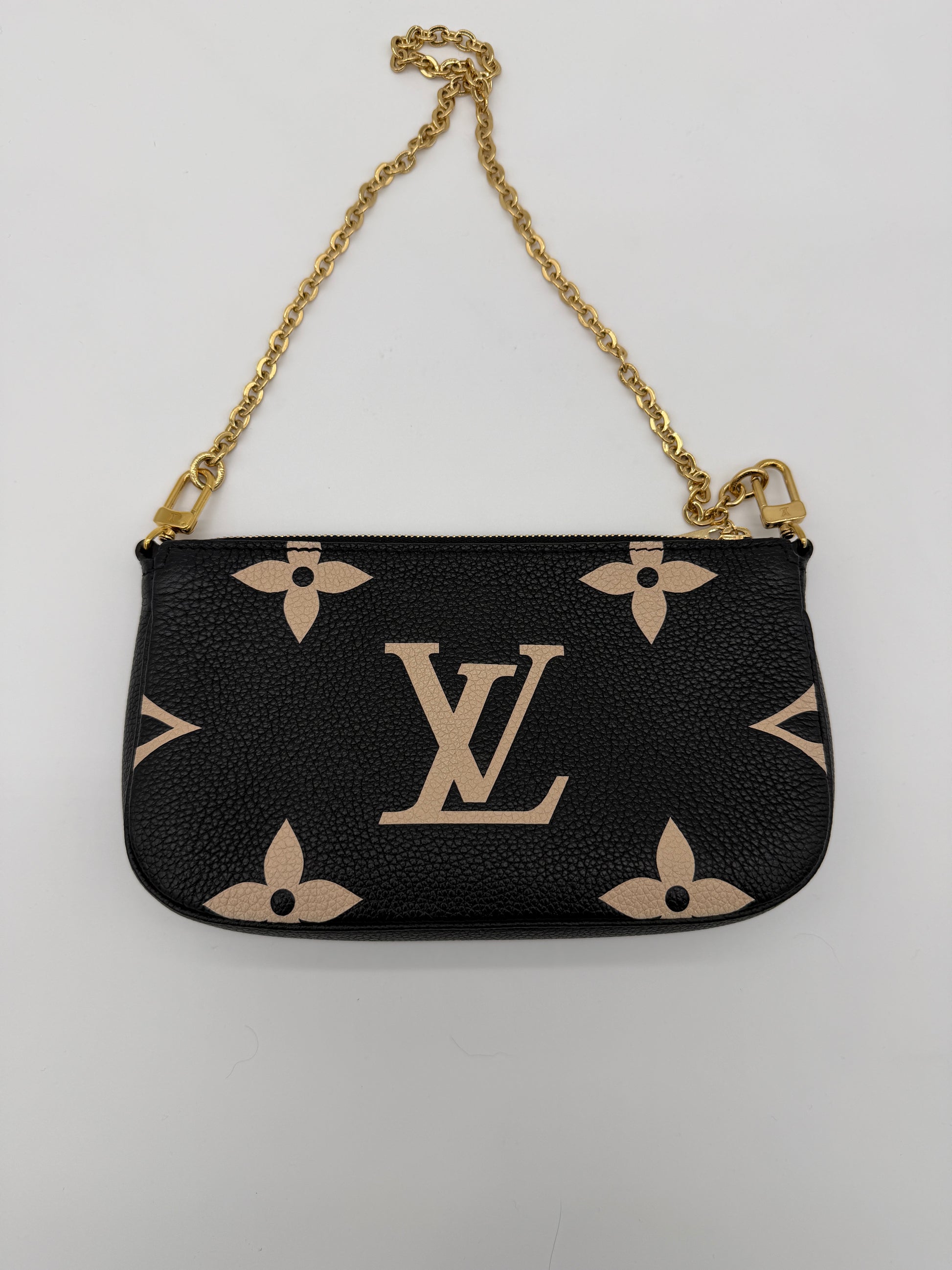 Louis Vuitton Bicolor Pochette