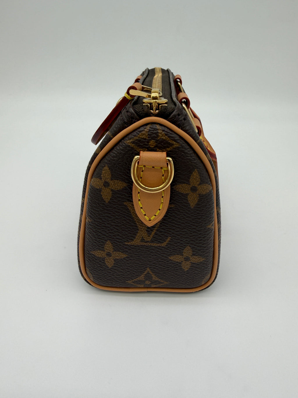 Louis Vuitton Monogram Speedy Nano