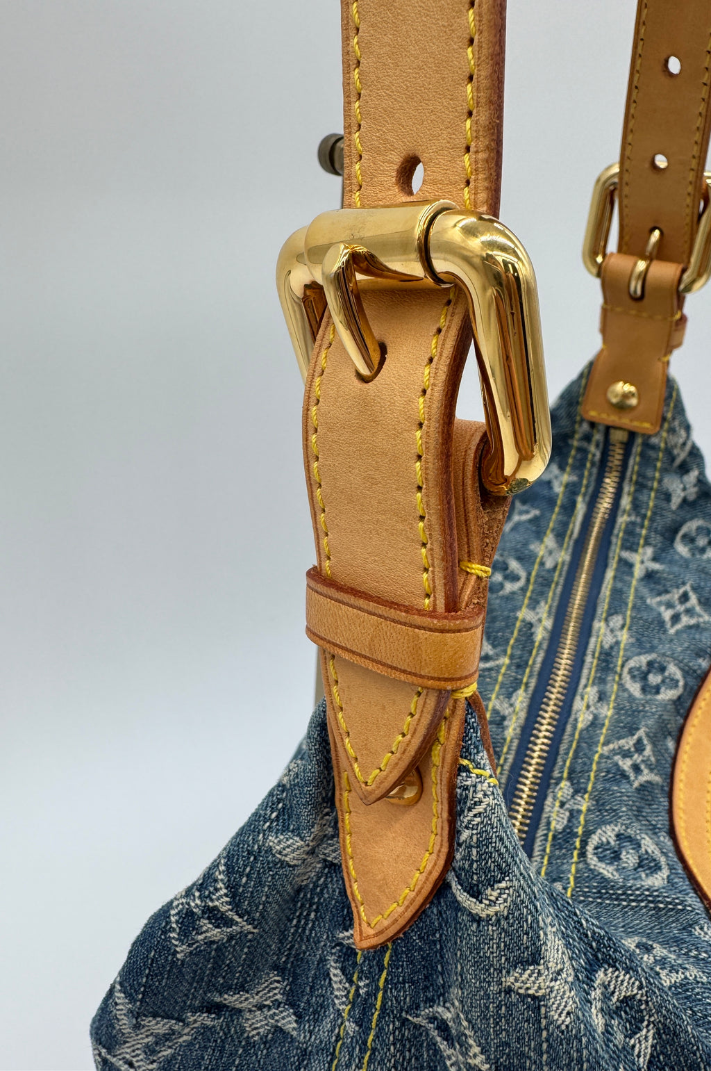 Louis Vuitton Denim Baggy PM