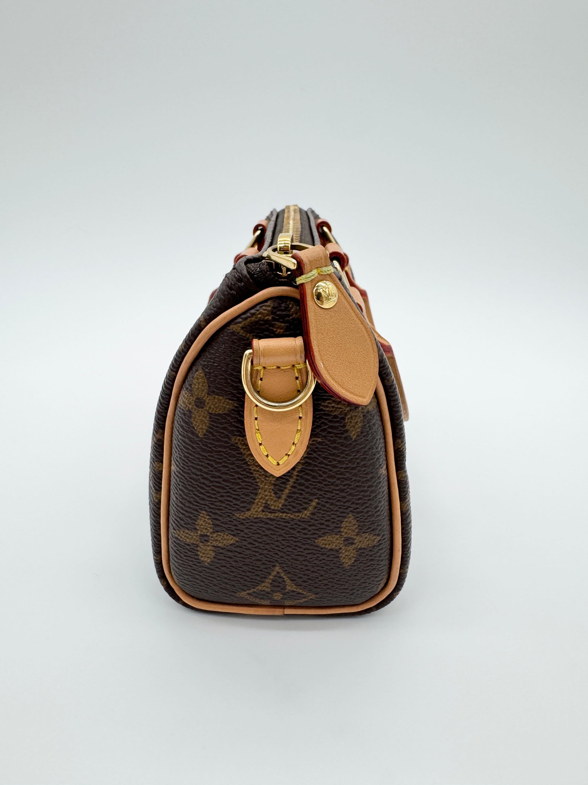 Louis Vuitton Monogram Speedy Nano