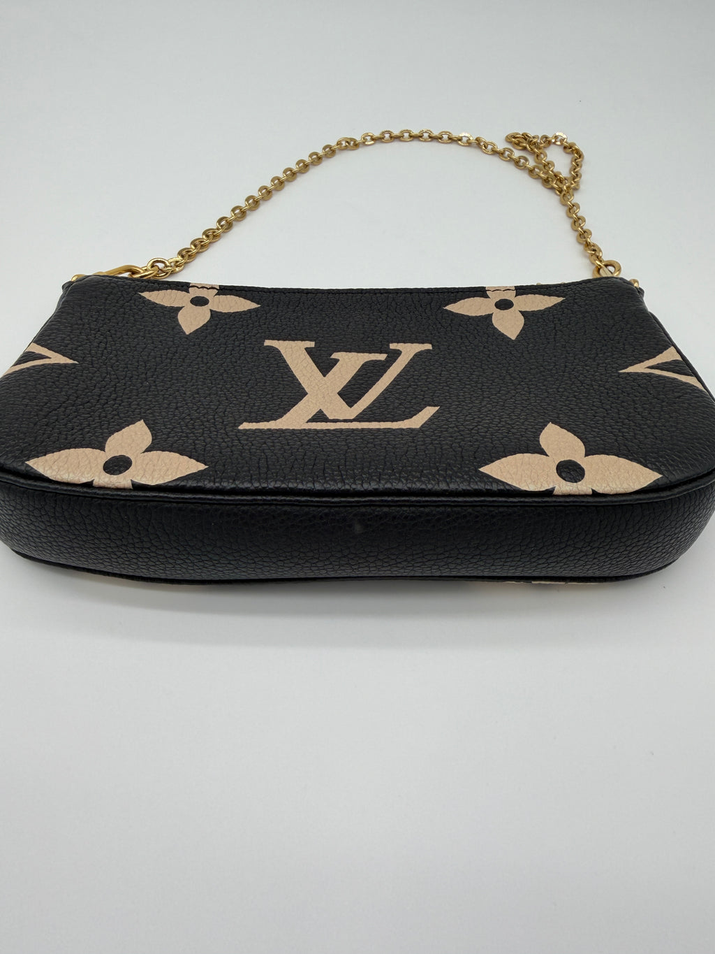 Louis Vuitton Bicolor Pochette
