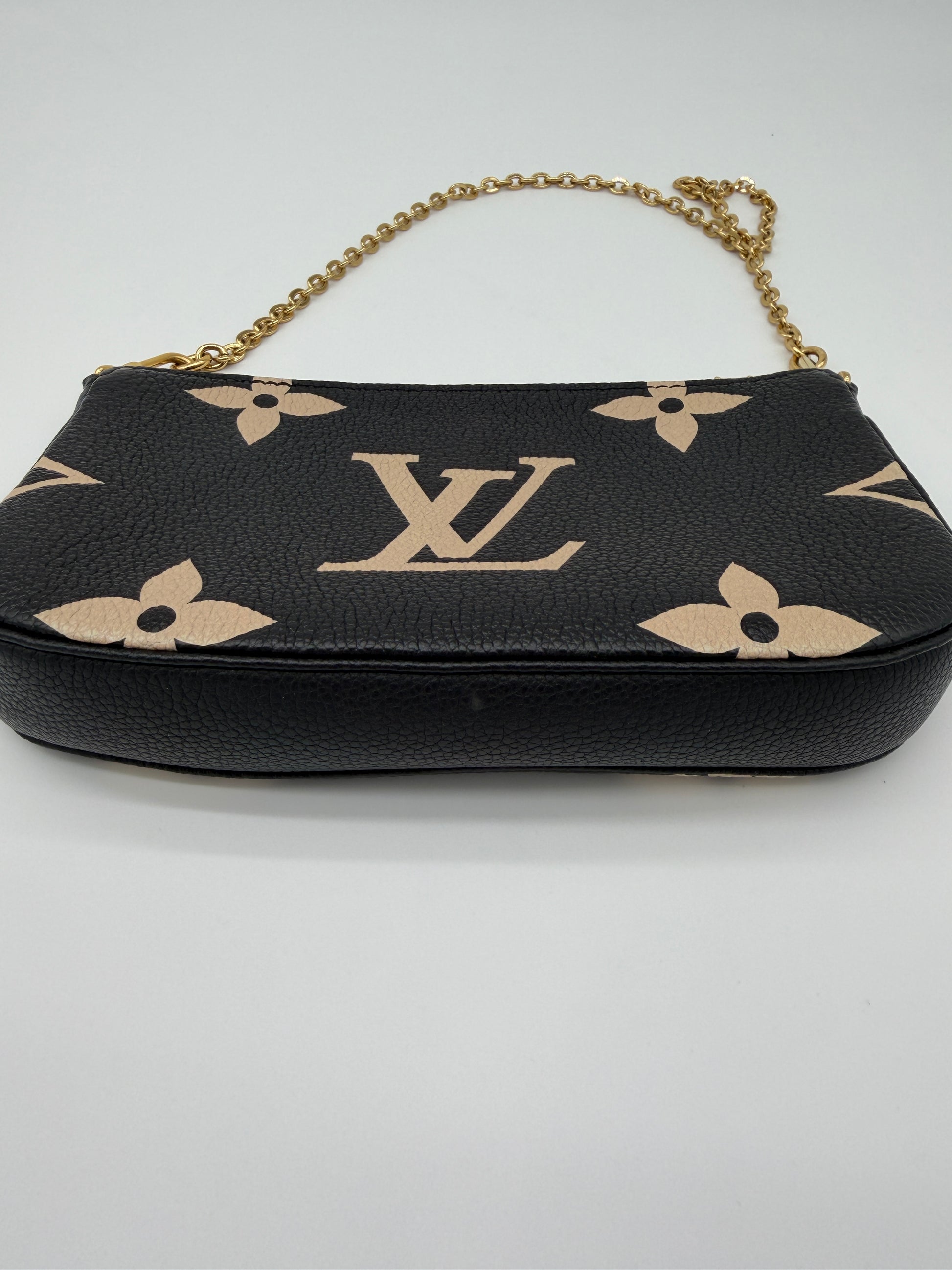 Louis Vuitton Bicolor Pochette