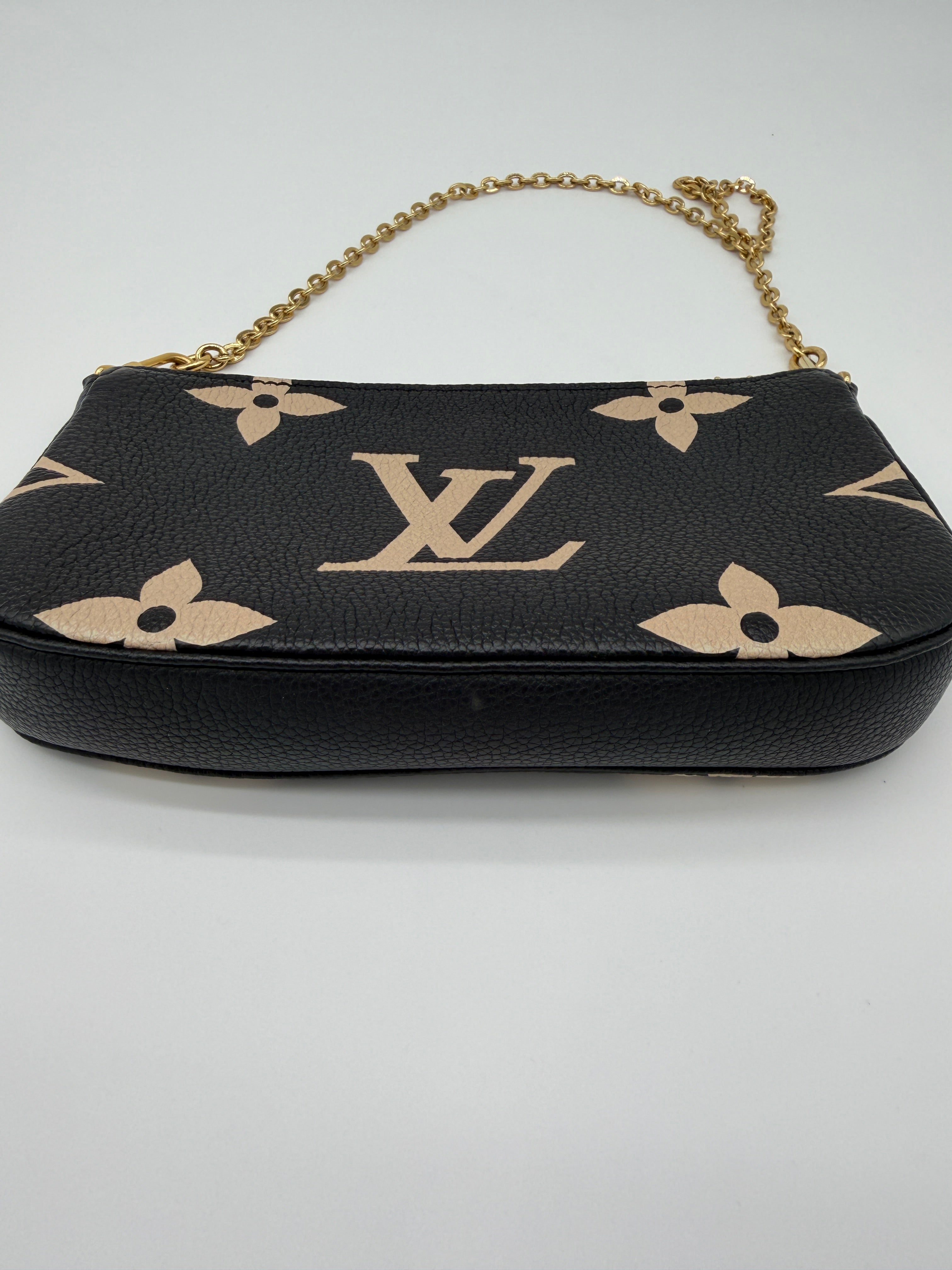 Louis Vuitton Bicolor Pochette