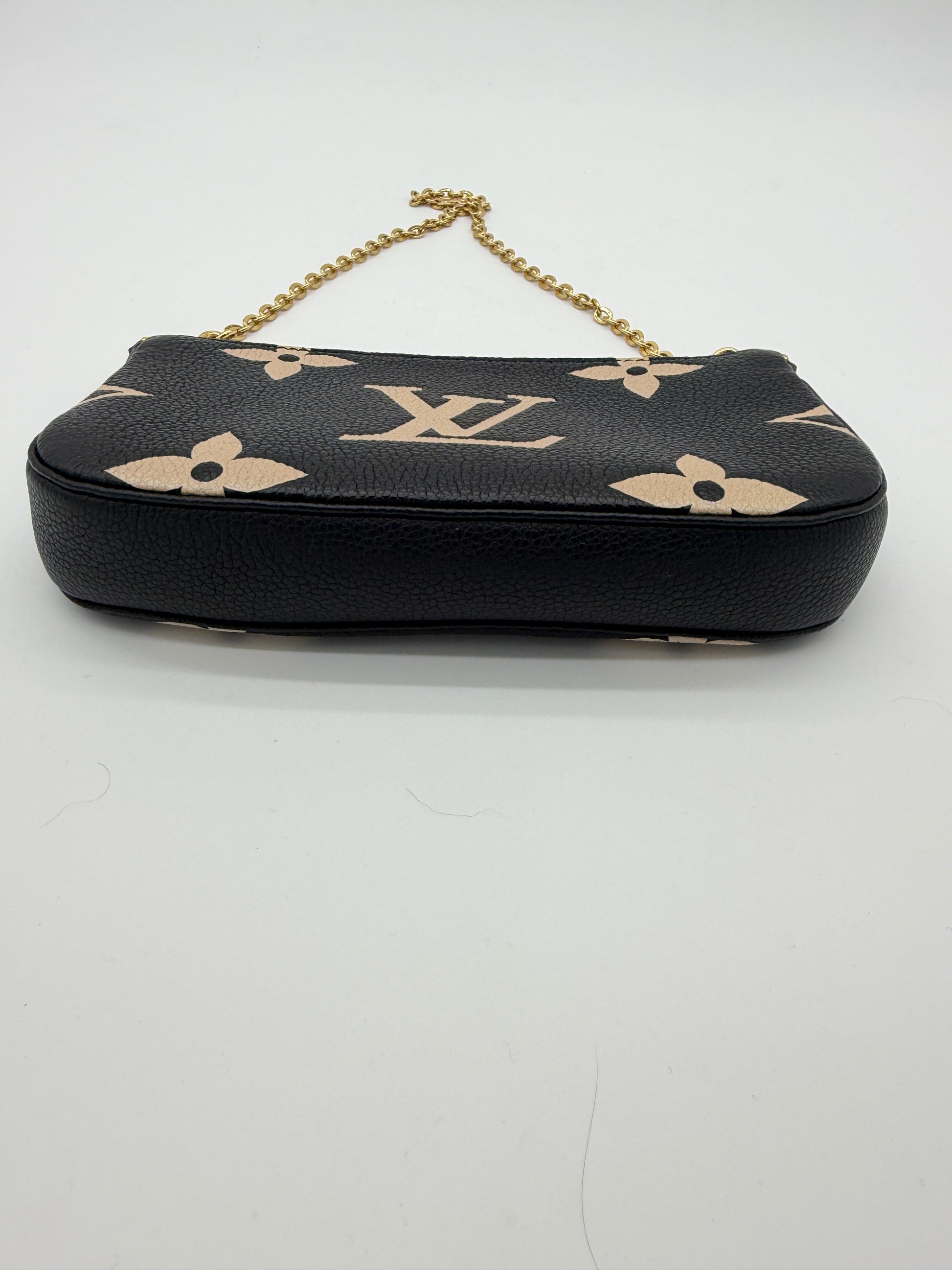 Louis Vuitton Bicolor Pochette