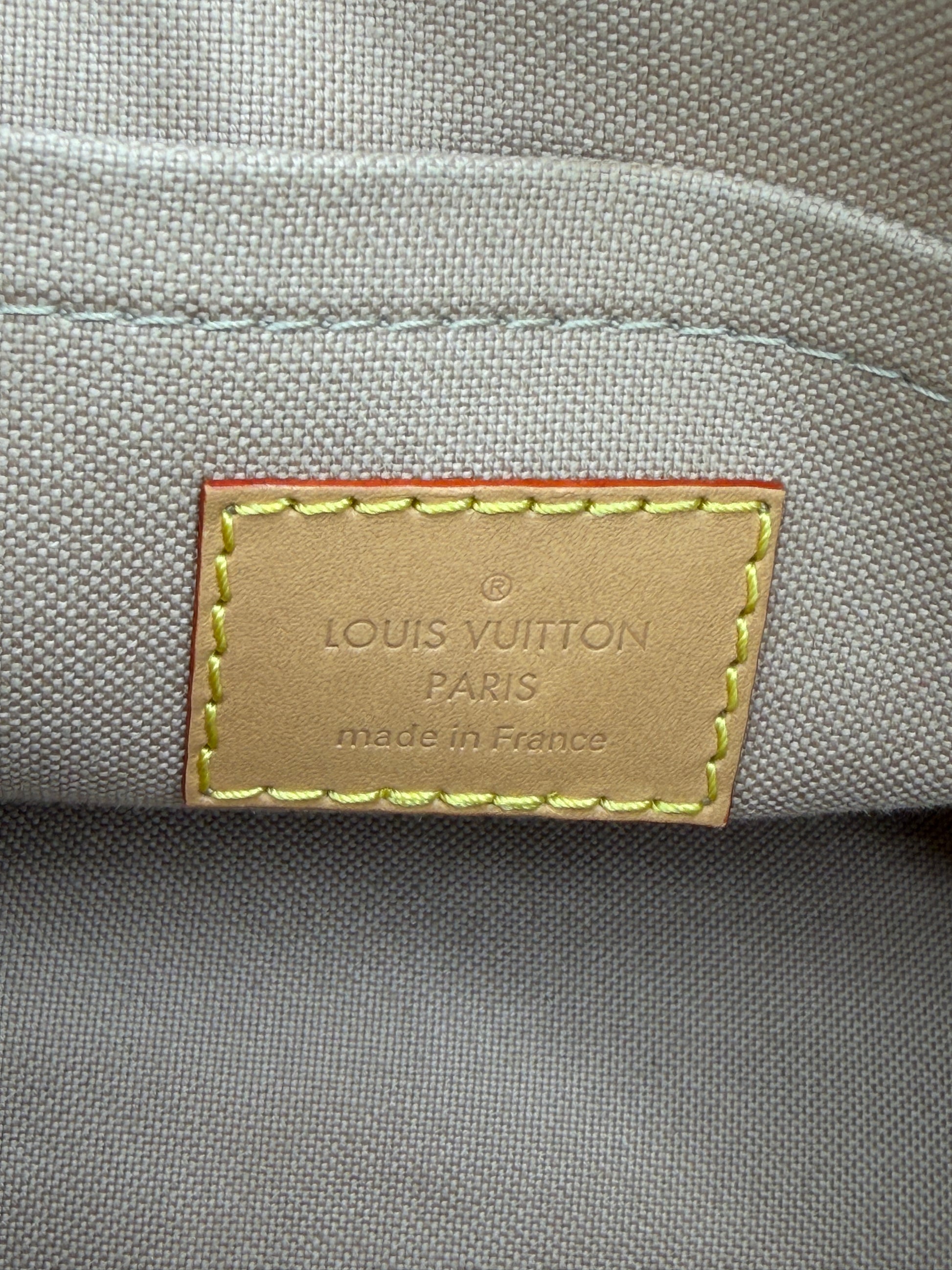 Louis Vuitton Speedy 20 Dune