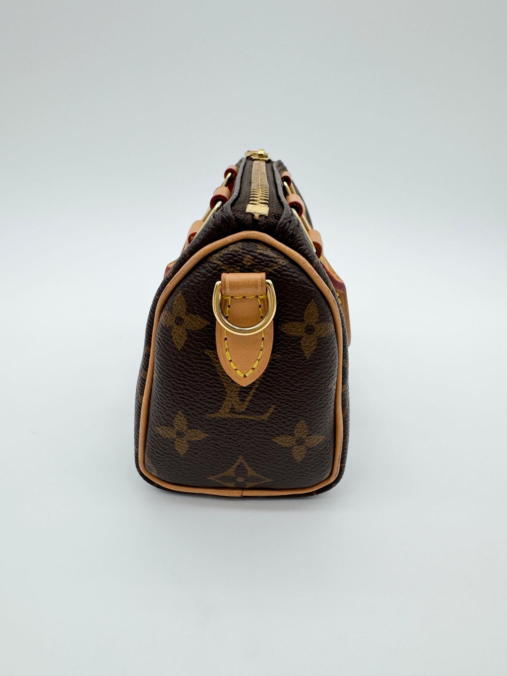 Louis Vuitton Monogram Speedy Nano