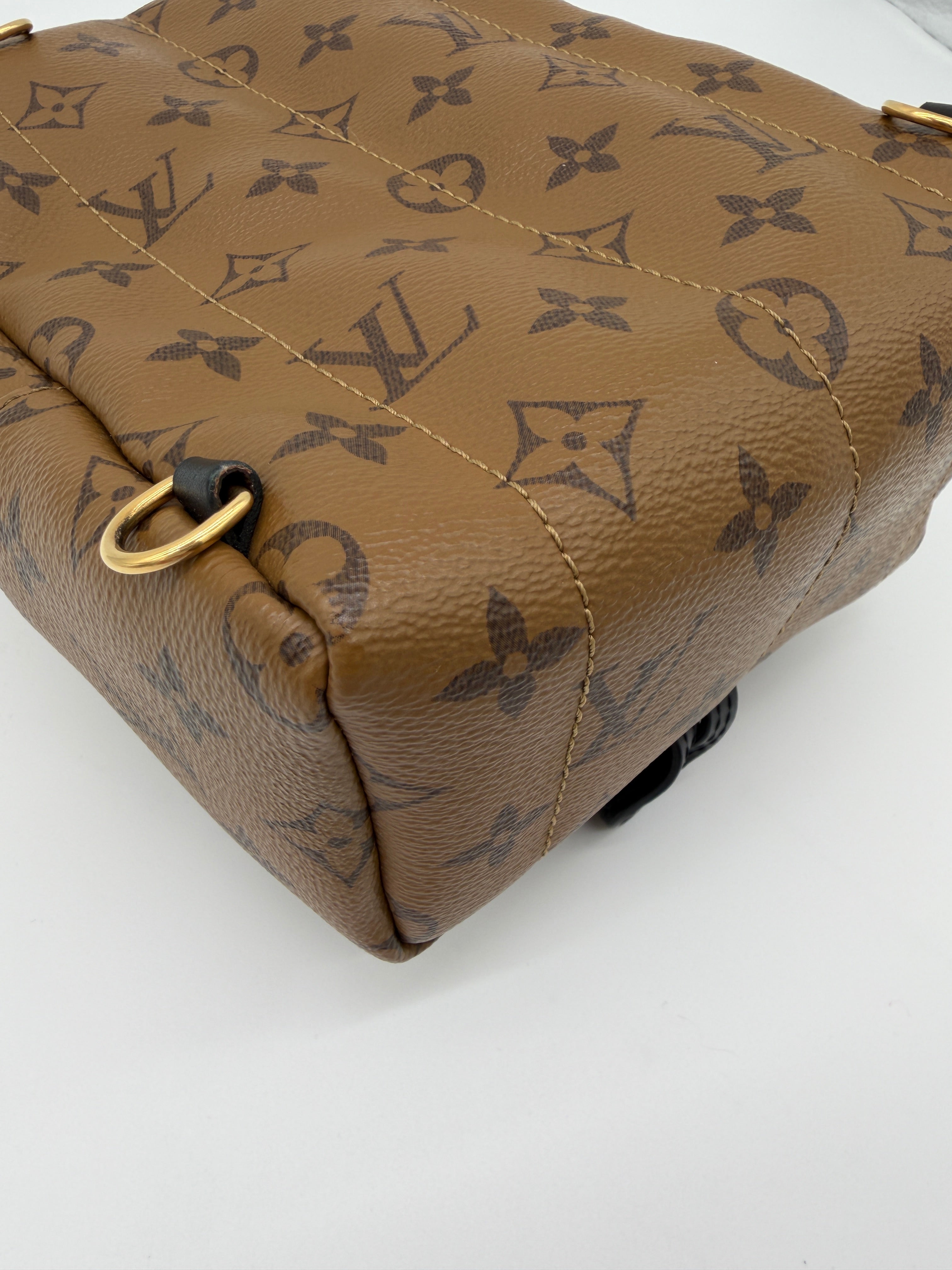 Louis Vuitton Palm Springs Mini Reverse Monogram