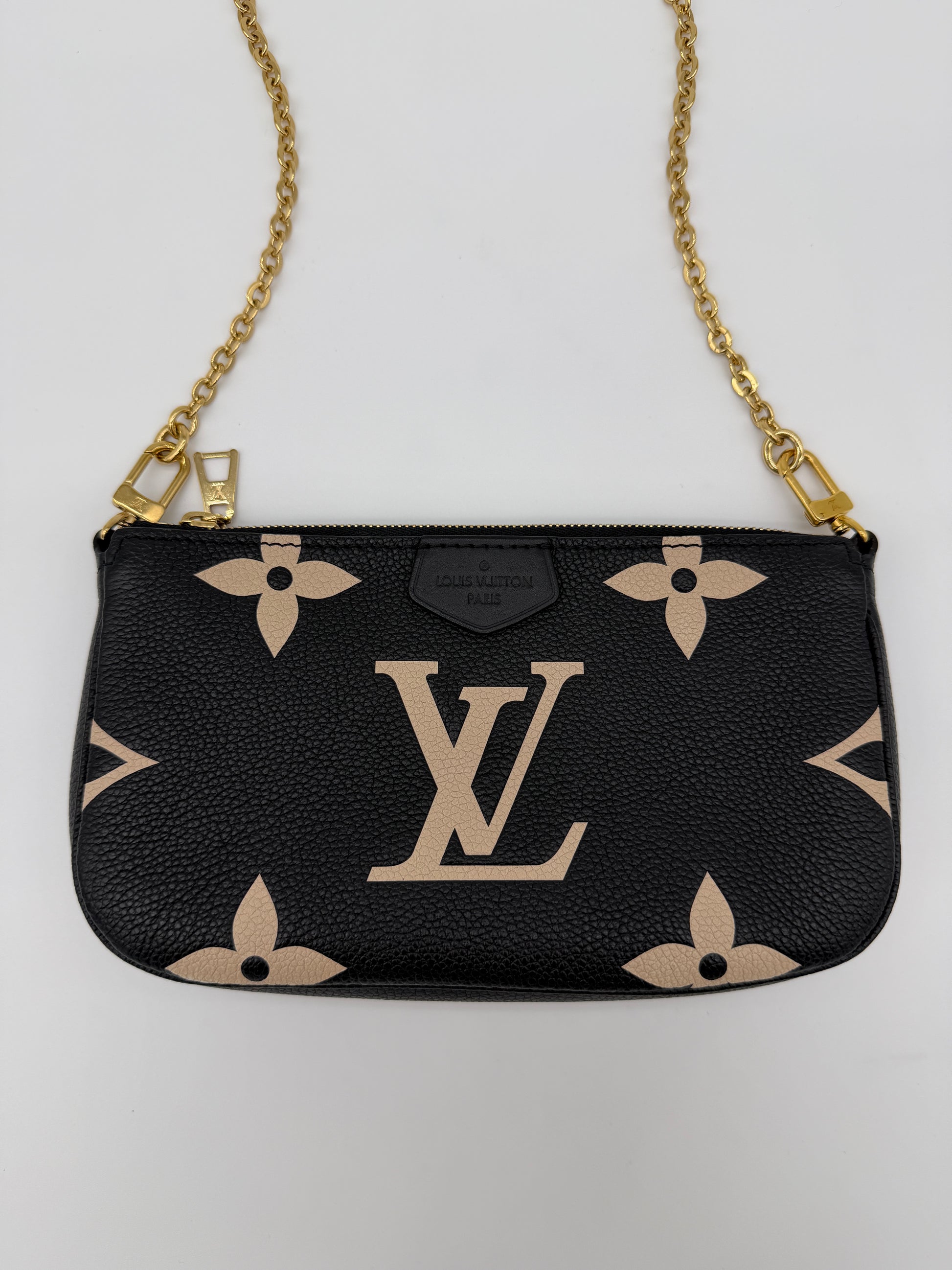 Louis Vuitton Bicolor Pochette