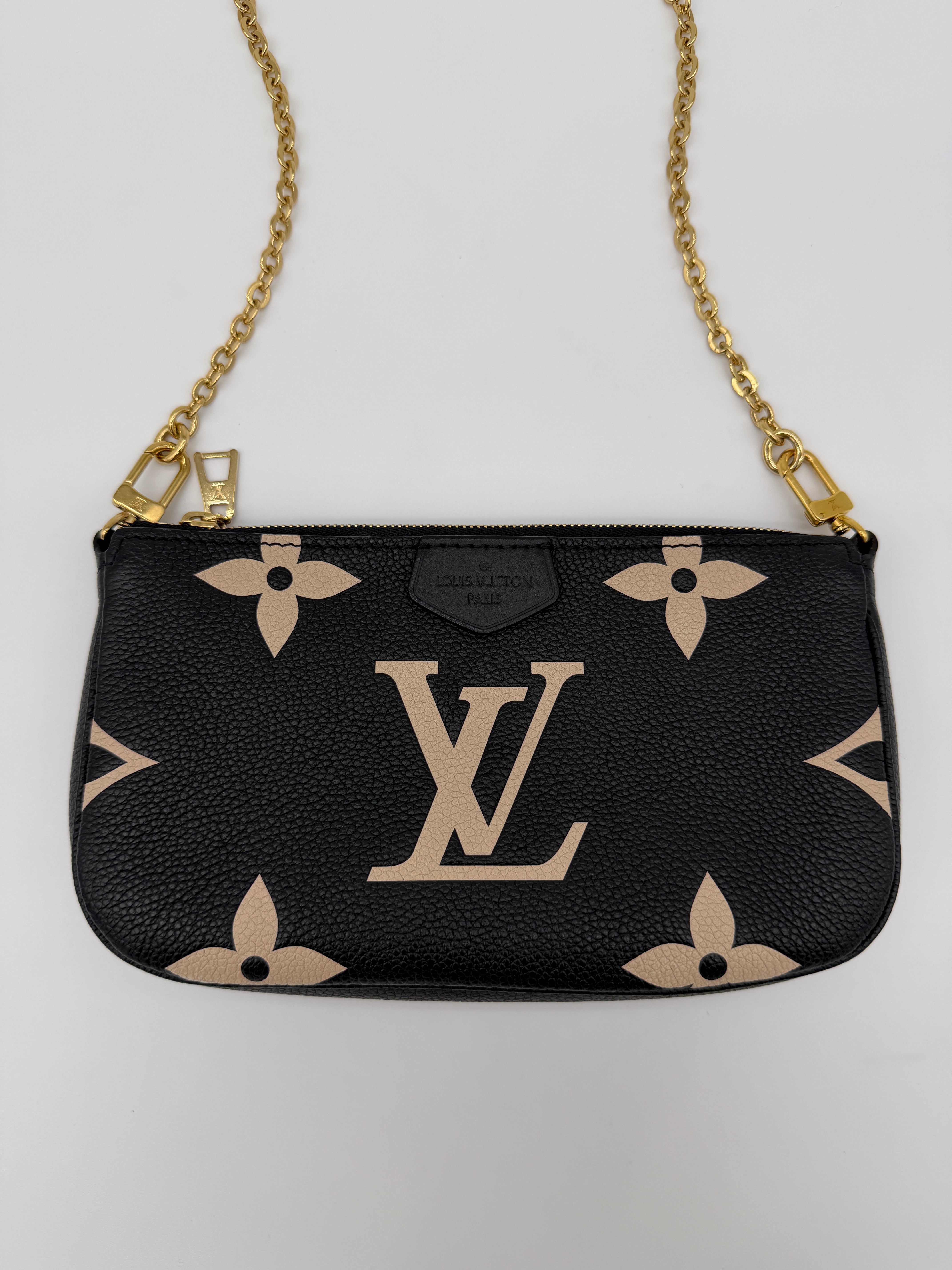Louis Vuitton Bicolor Pochette