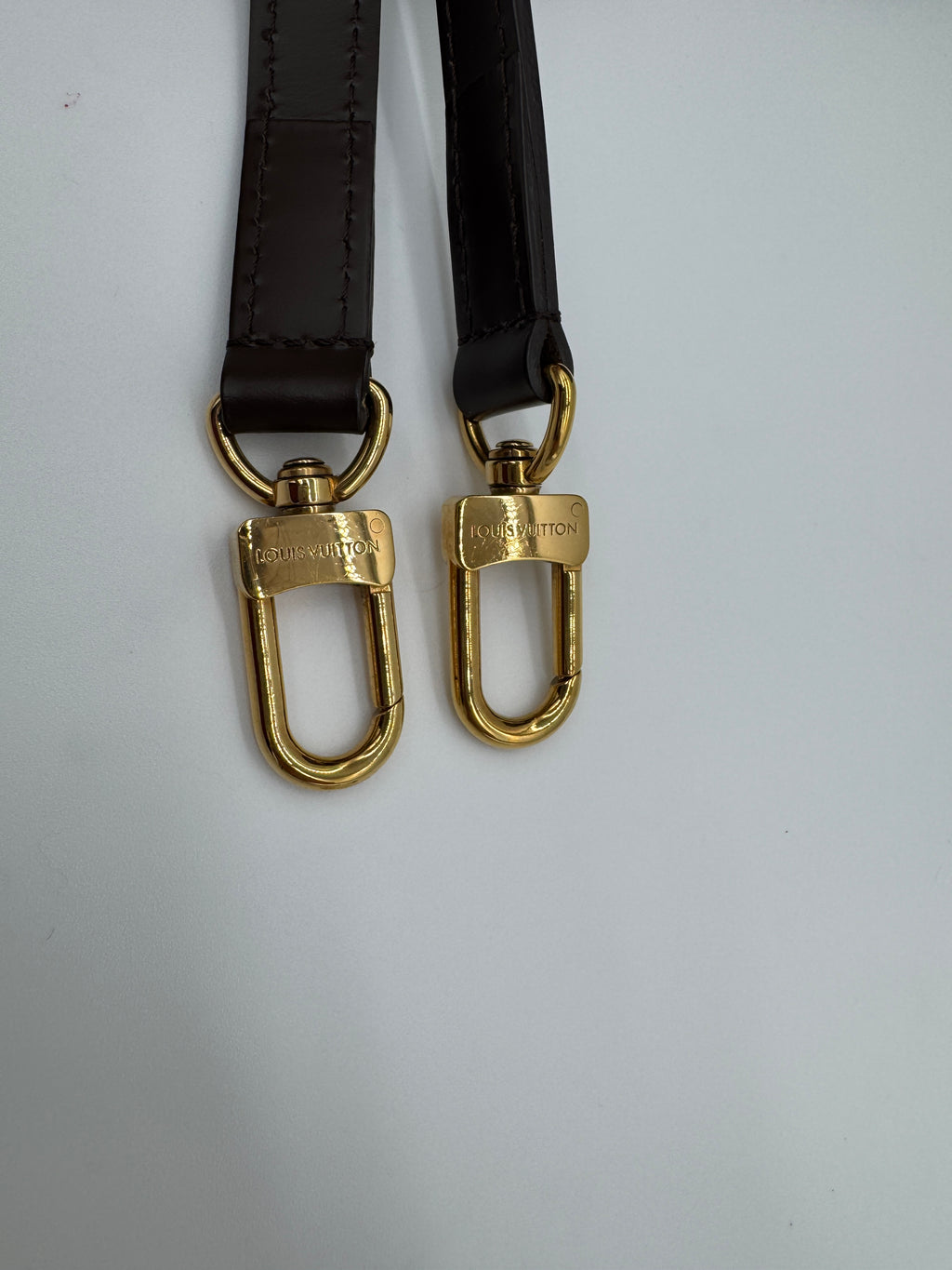 Louis Vuitton Siena PM Damier Ebene
