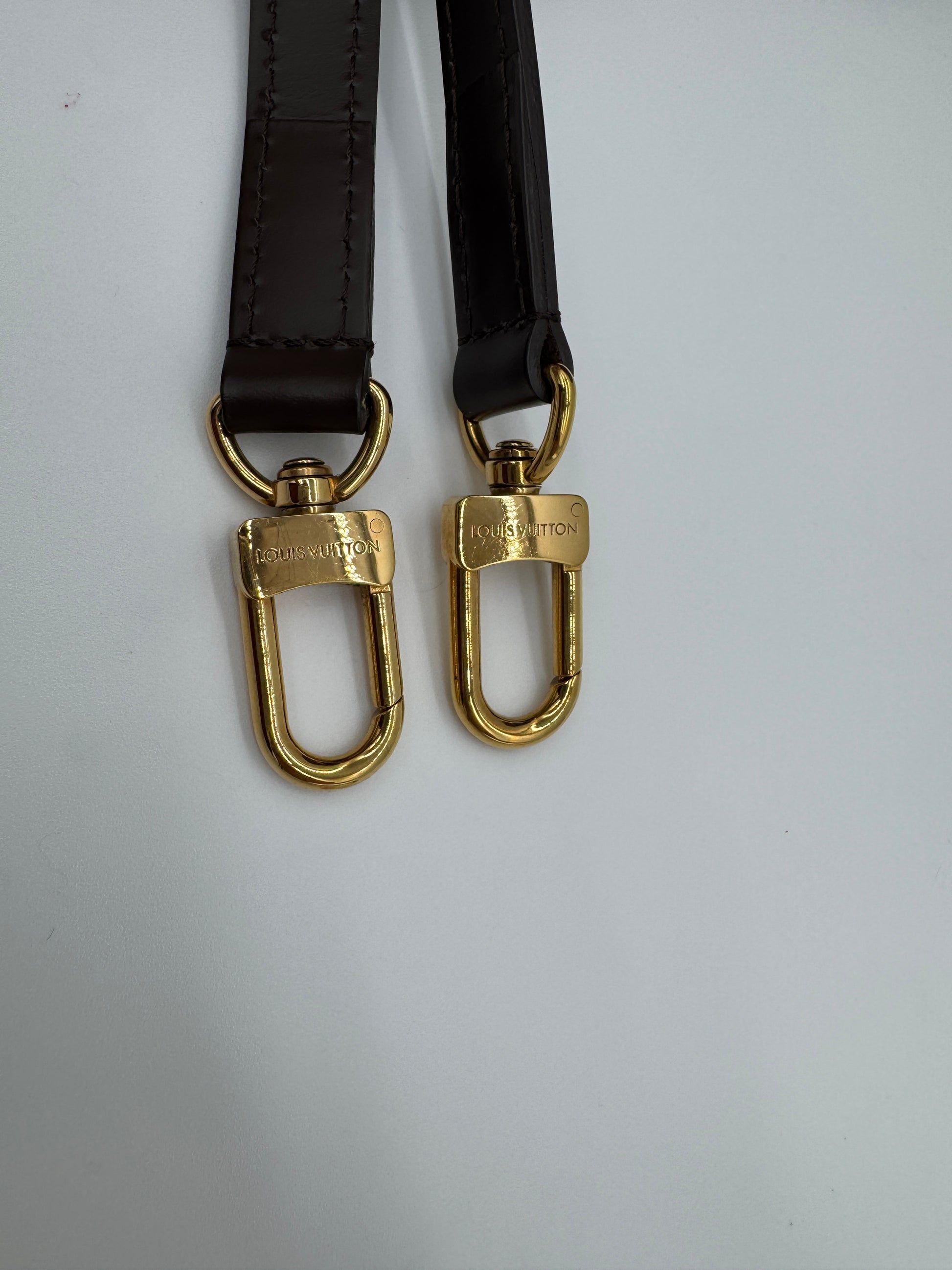 Louis Vuitton Siena PM Damier Ebene