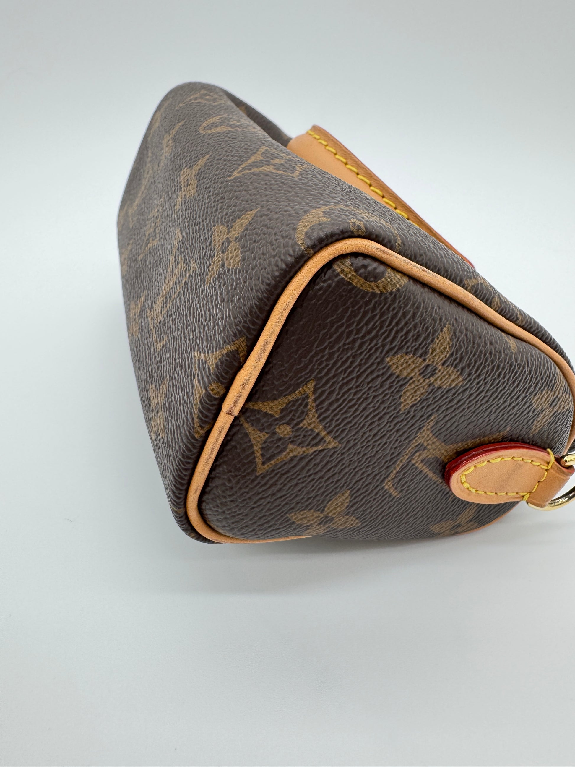 Louis Vuitton Monogram Speedy Nano