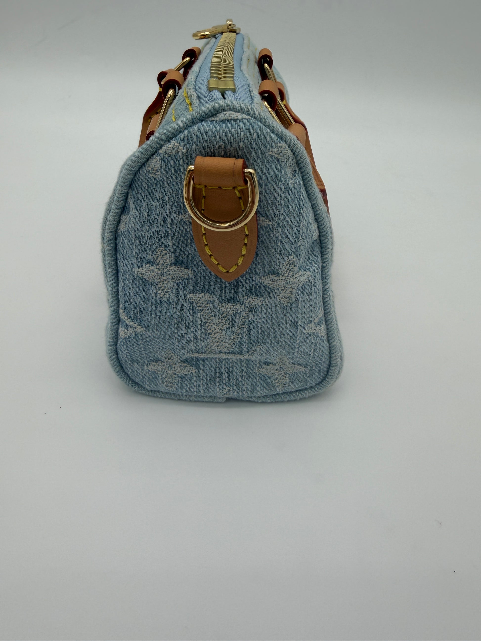 Louis Vuitton Denim Speedy Nano