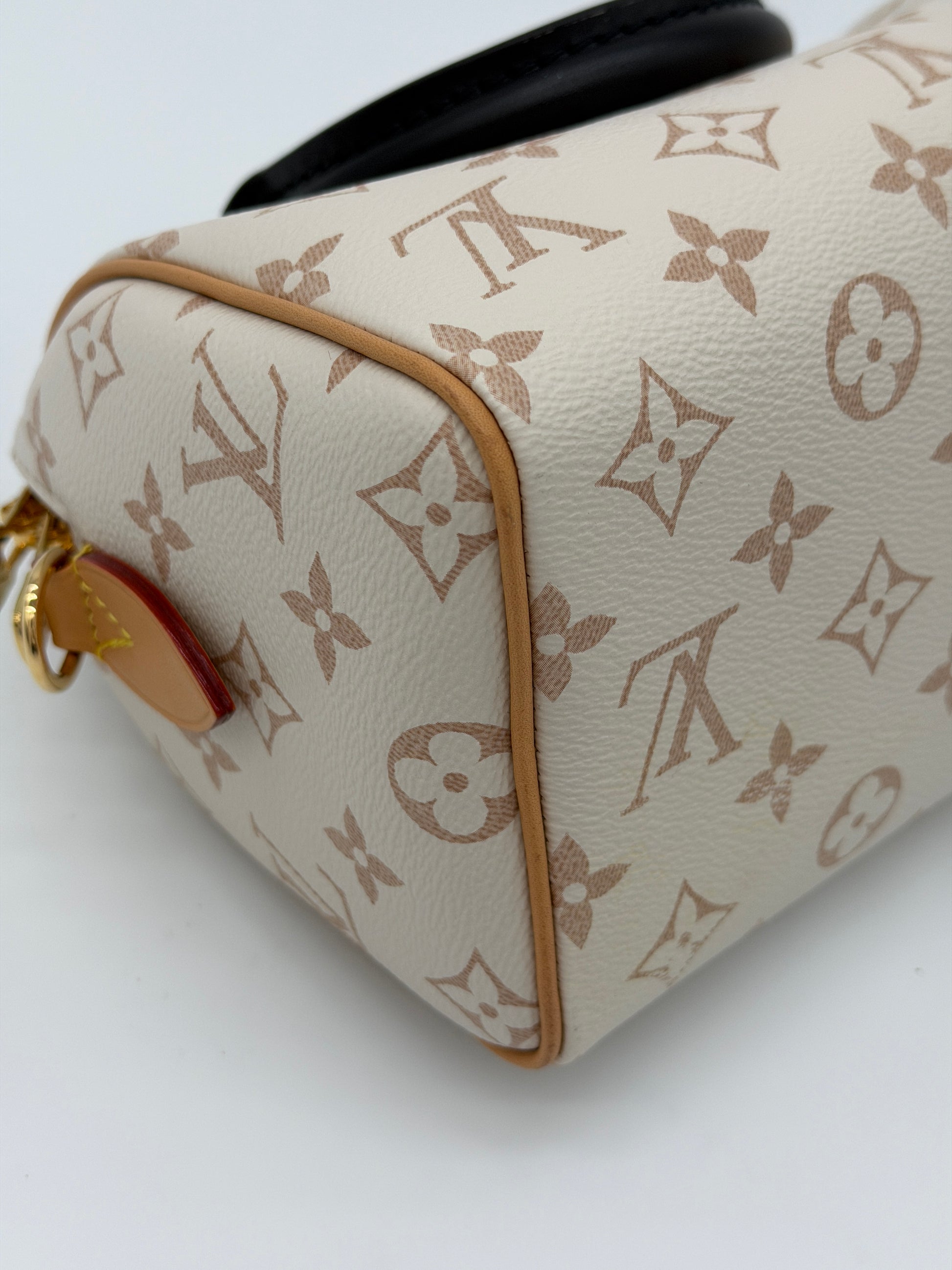 Louis Vuitton Speedy 20 Dune