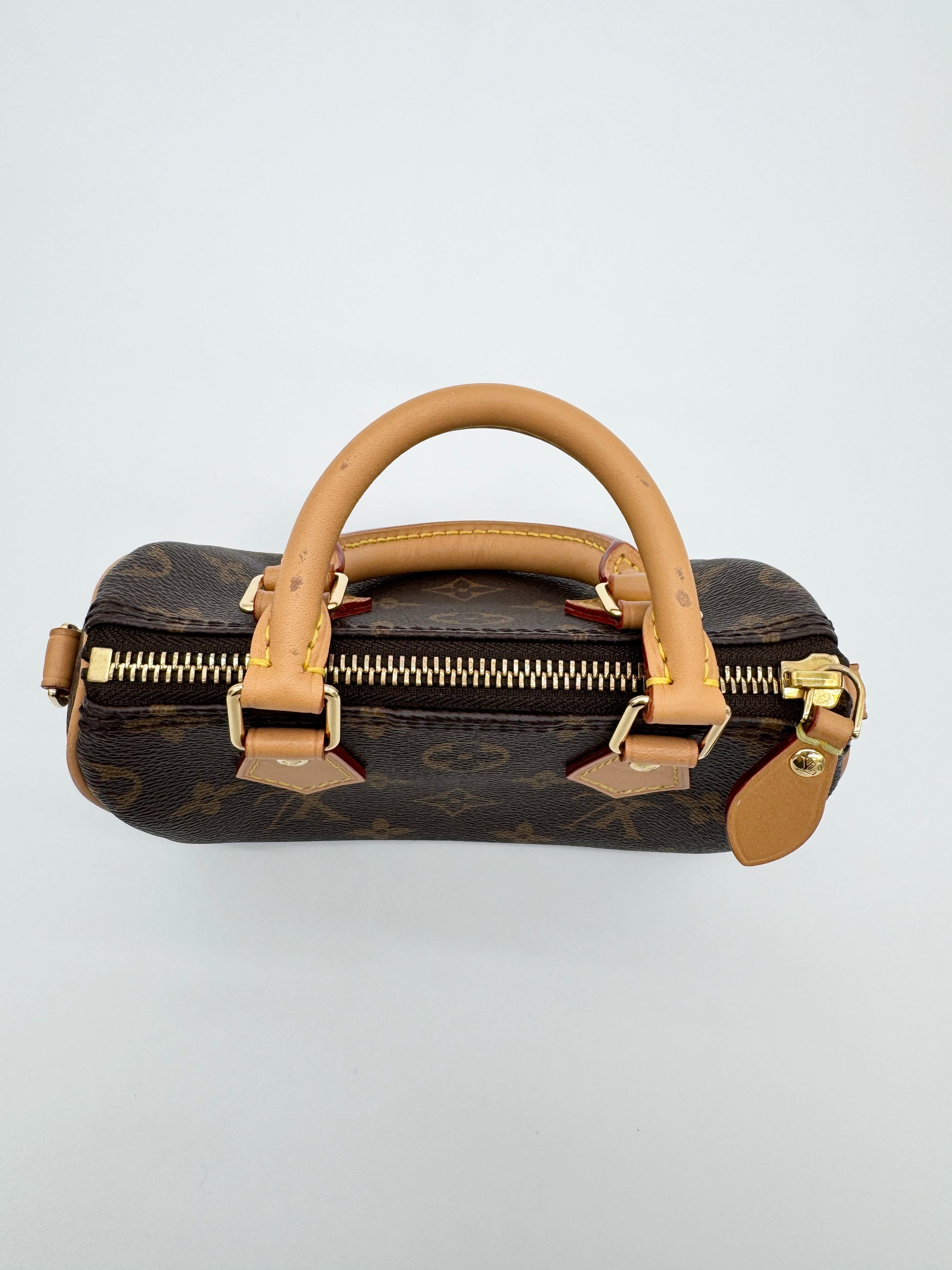 Louis Vuitton Monogram Speedy Nano