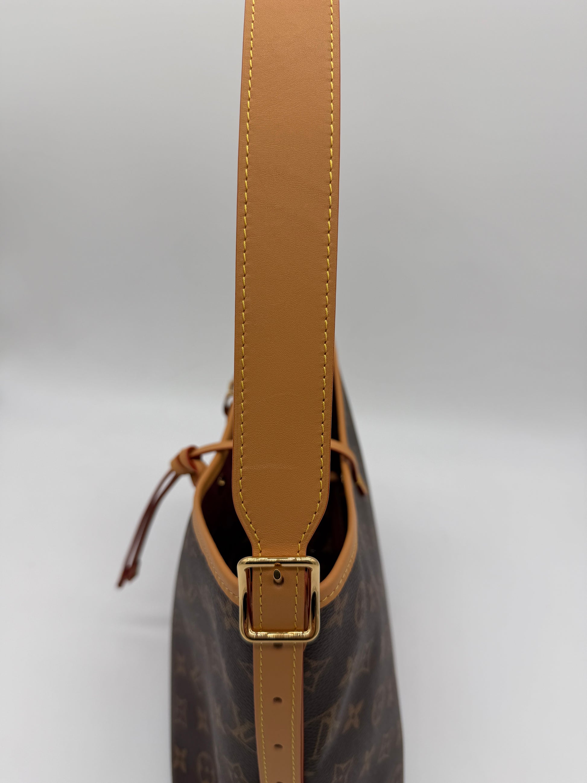 Louis Vuitton Monogram Carryall PM