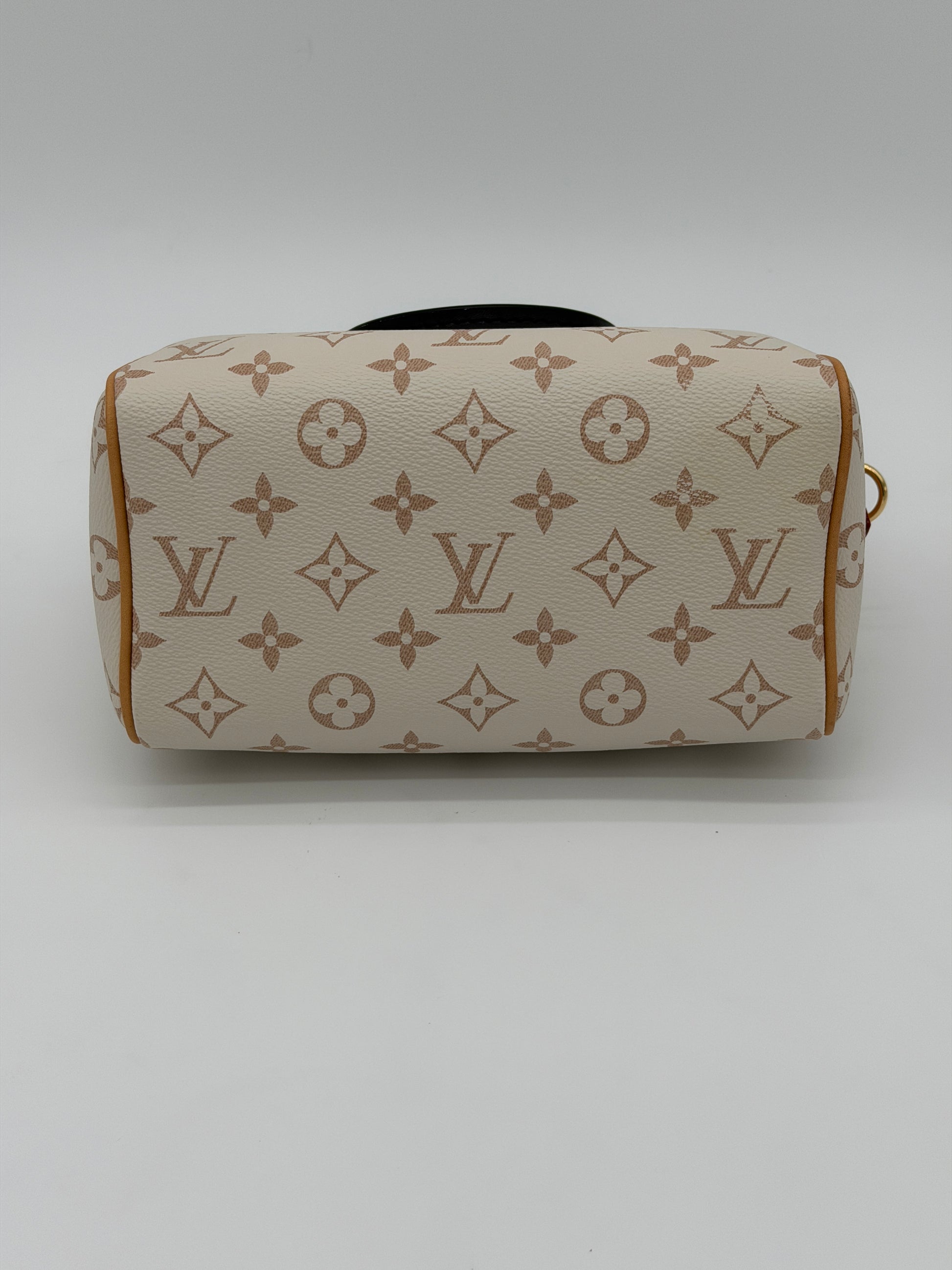 Louis Vuitton Speedy 20 Dune