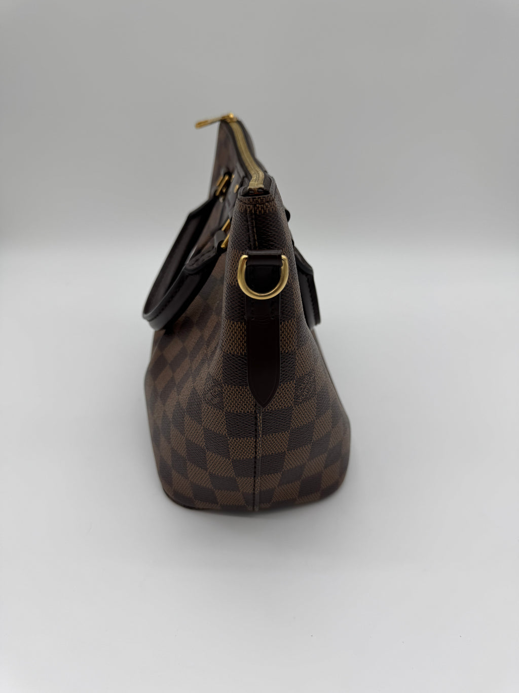 Louis Vuitton Siena PM Damier Ebene