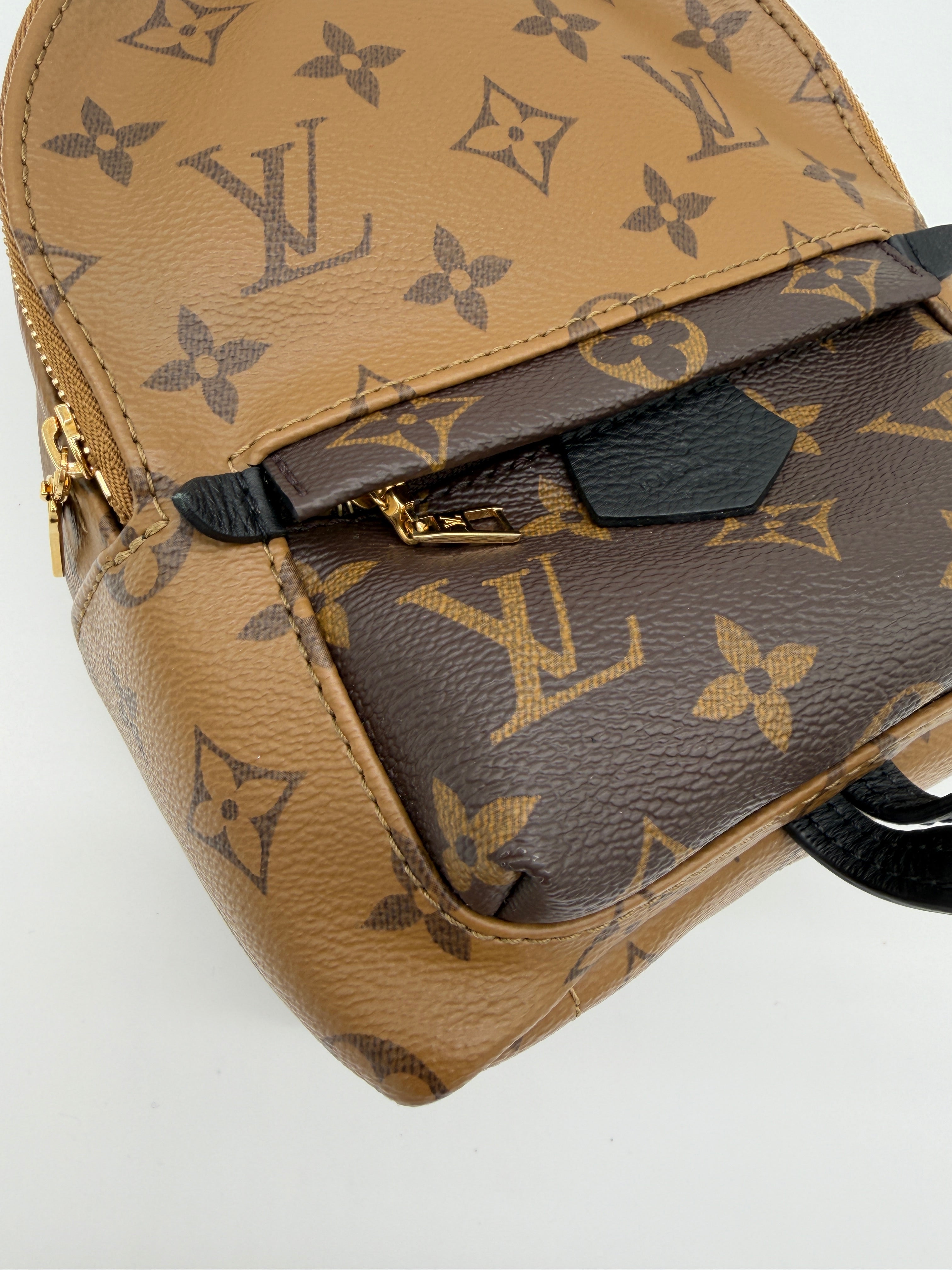 Louis Vuitton Palm Springs Mini Reverse Monogram