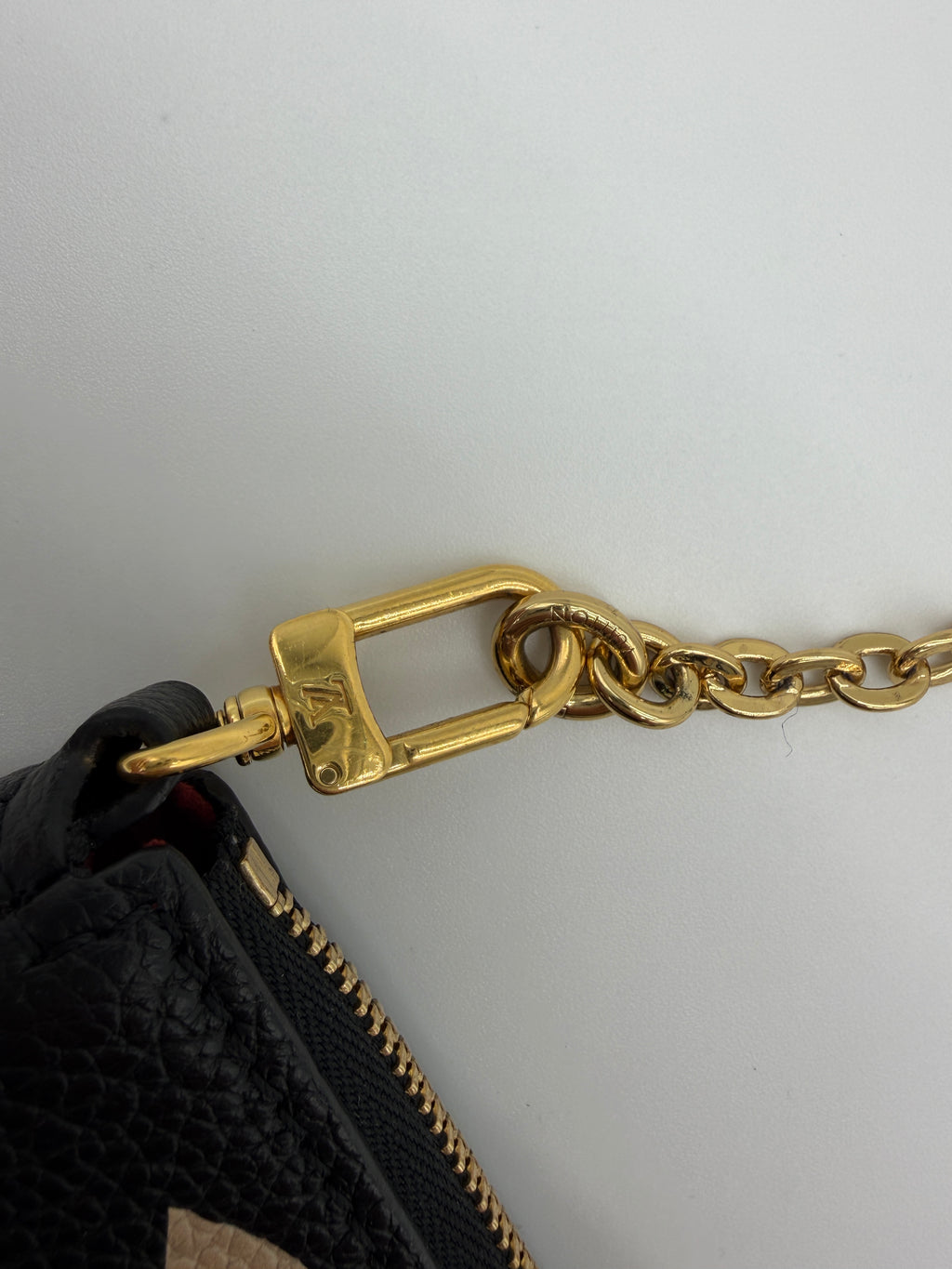 Louis Vuitton Bicolor Pochette