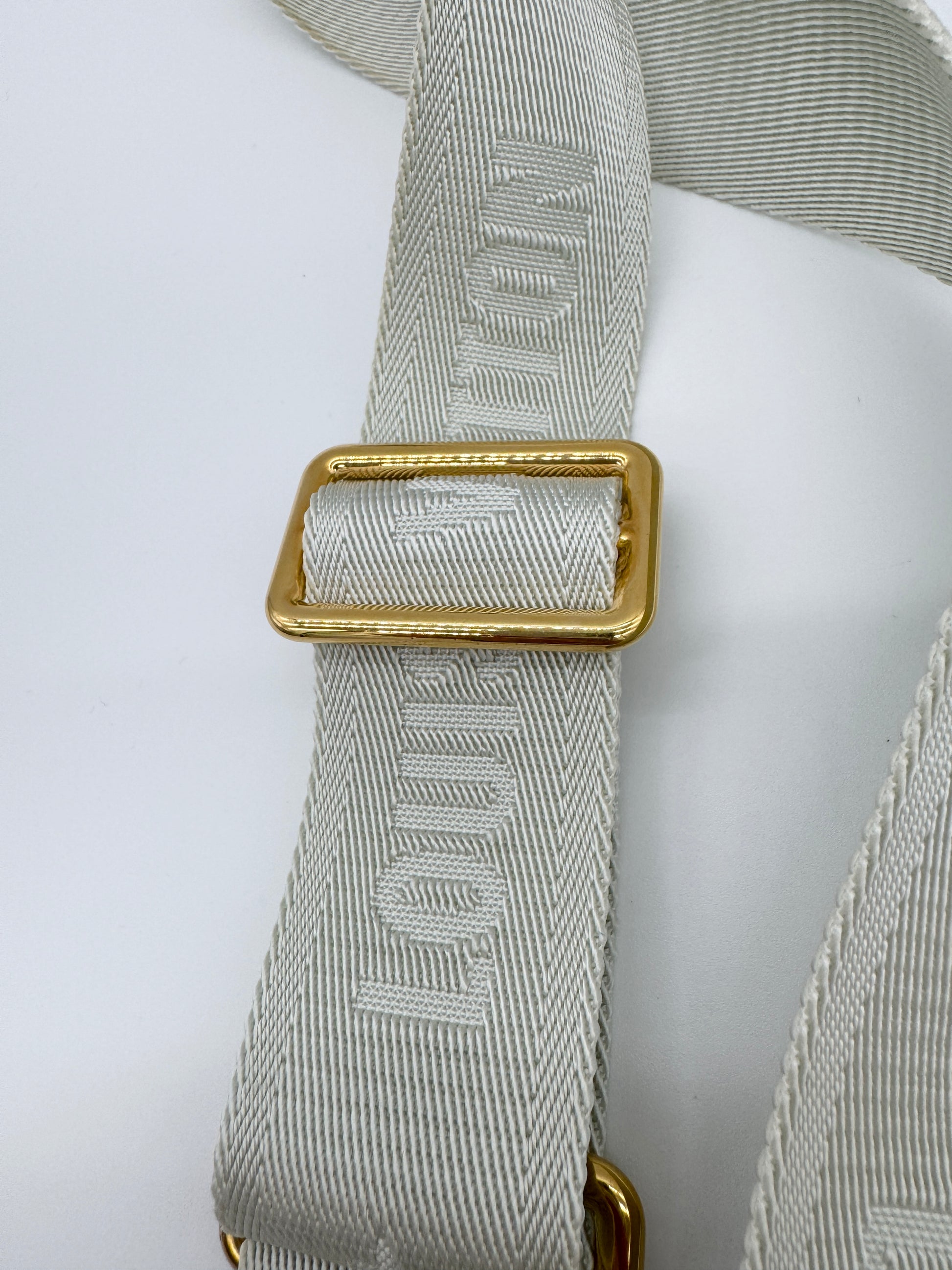 Louis Vuitton OnTheGo PM Spring in the City Shoulder Guitar Strap