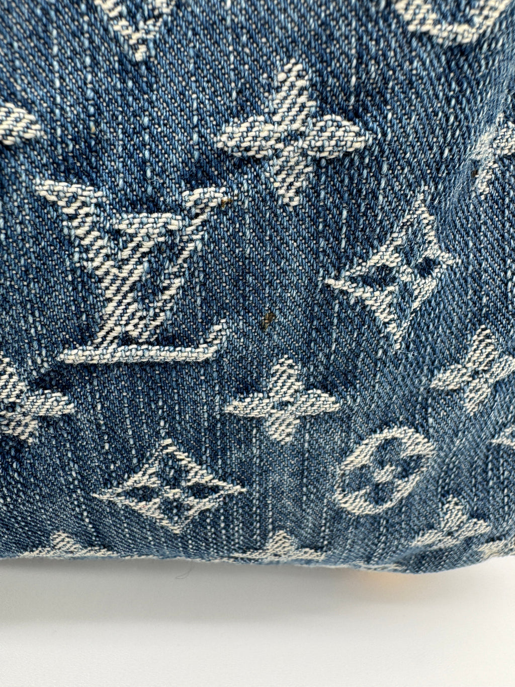 Louis Vuitton Denim Baggy PM