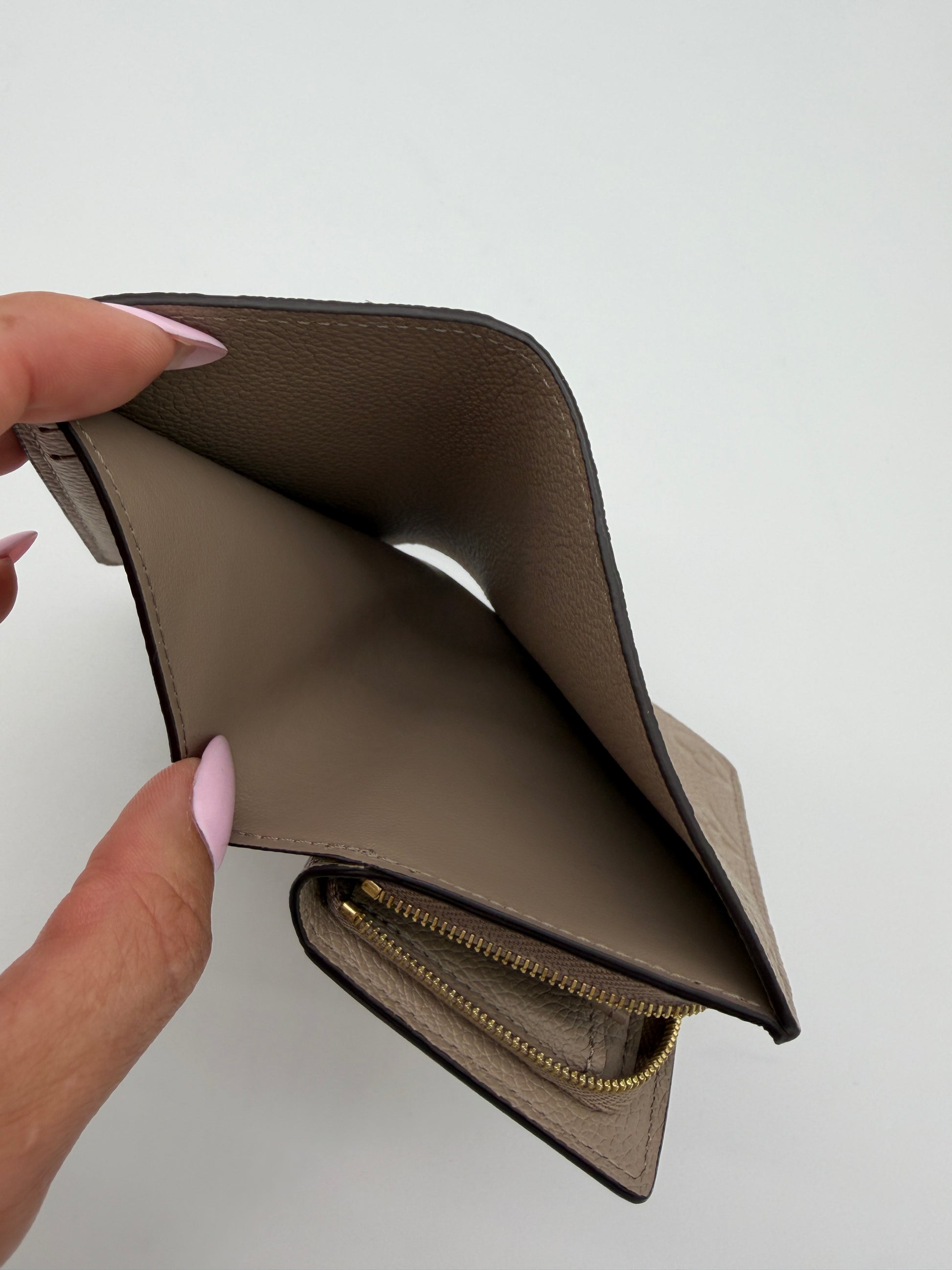 Louis Vuitton Empreinte Clea Wallet