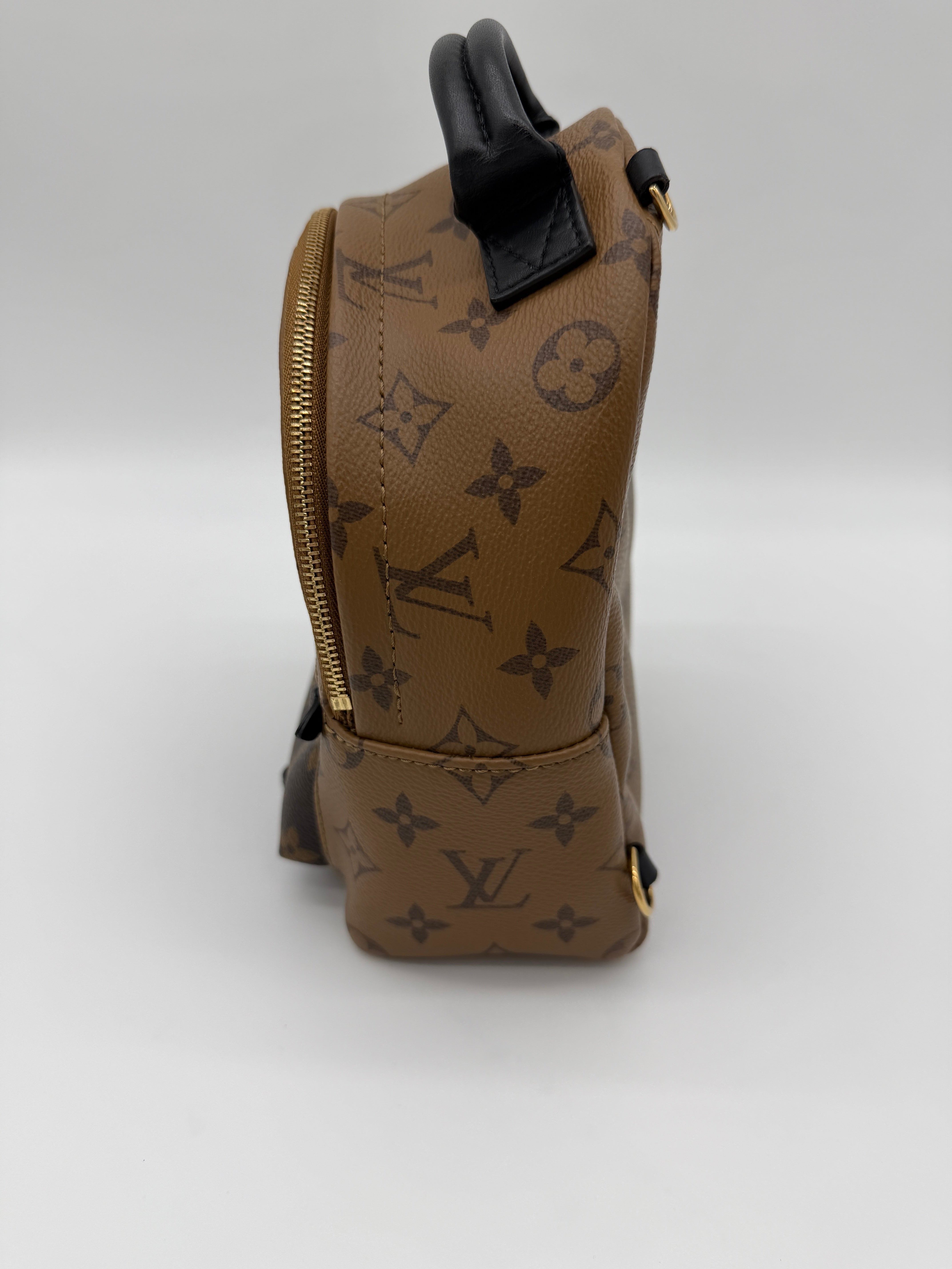 Louis Vuitton Palm Springs Mini Reverse Monogram