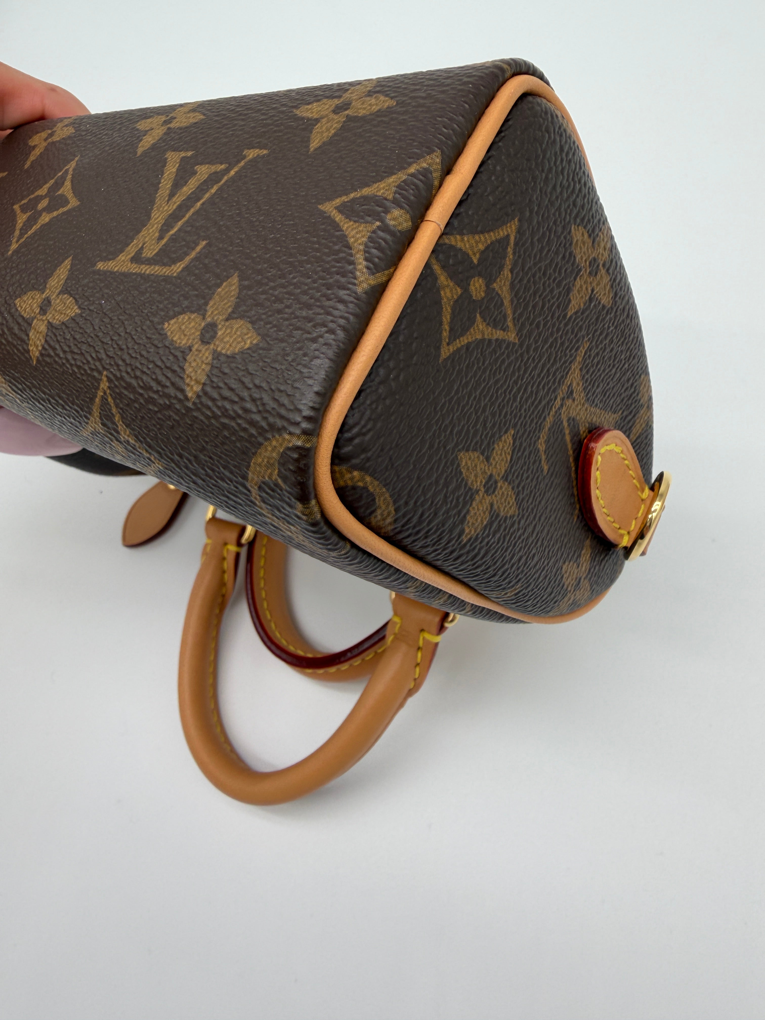 Louis Vuitton Monogram Speedy Nano