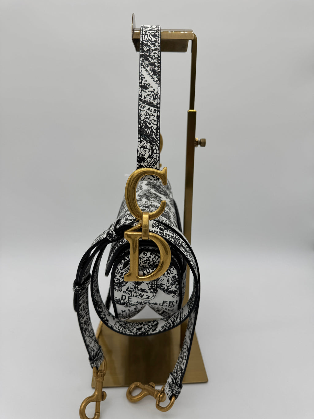 Christian Dior Plan De Paris Saddle Bag