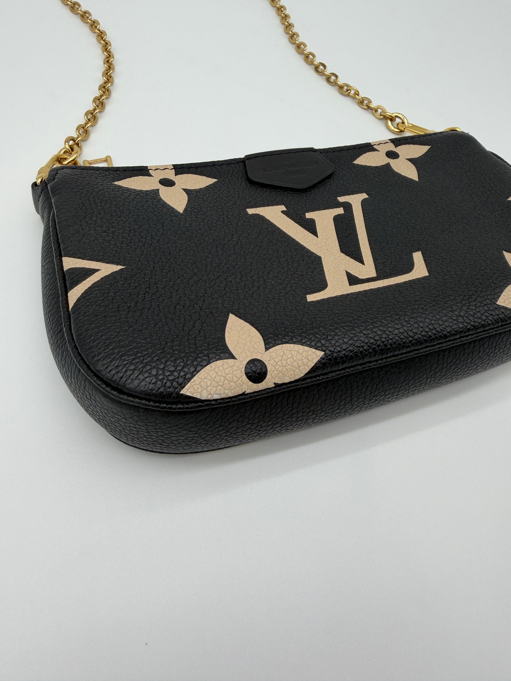 Louis Vuitton Bicolor Pochette