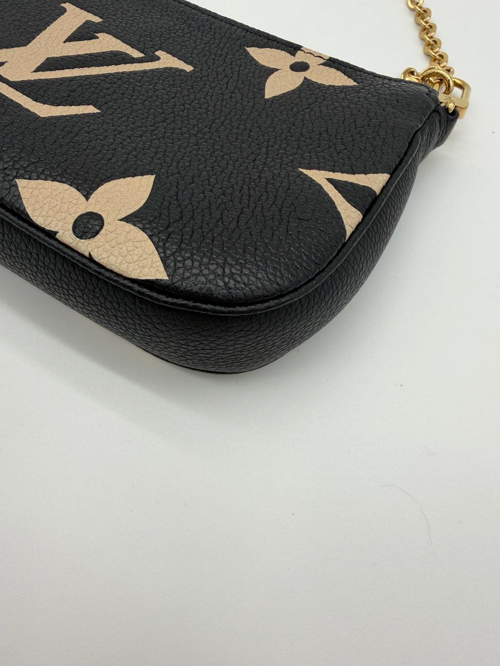 Louis Vuitton Bicolor Pochette