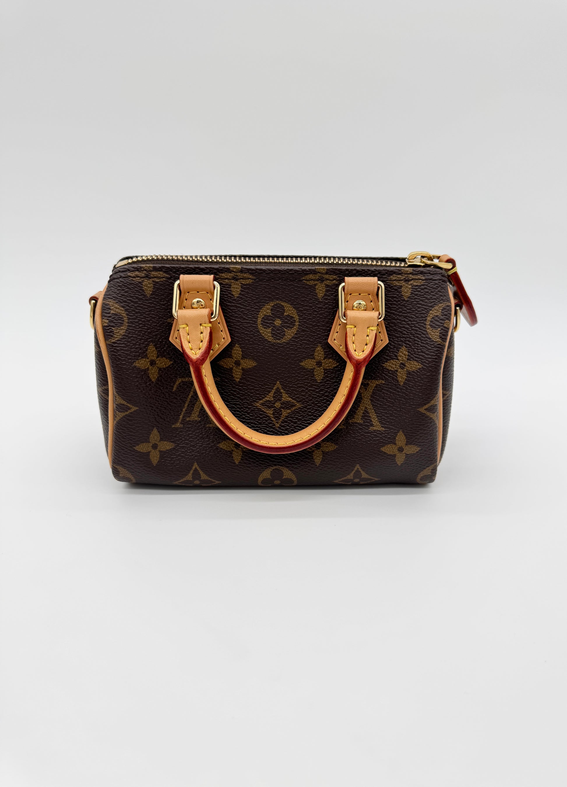 Louis Vuitton Monogram Speedy Nano